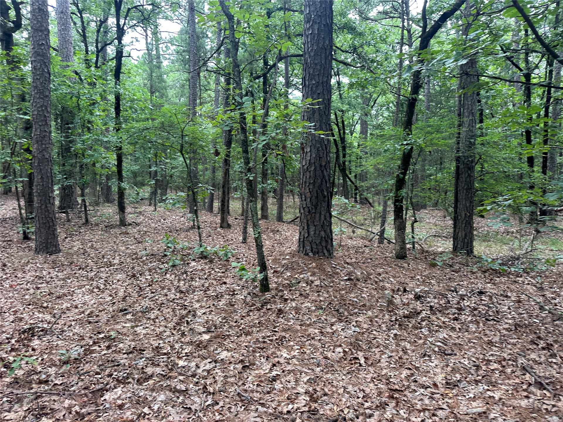 001 Johns Valley Road Moyers OK 74557