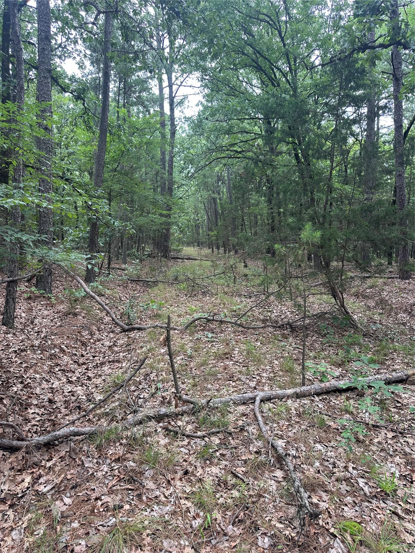 001 Johns Valley Road Moyers OK 74557