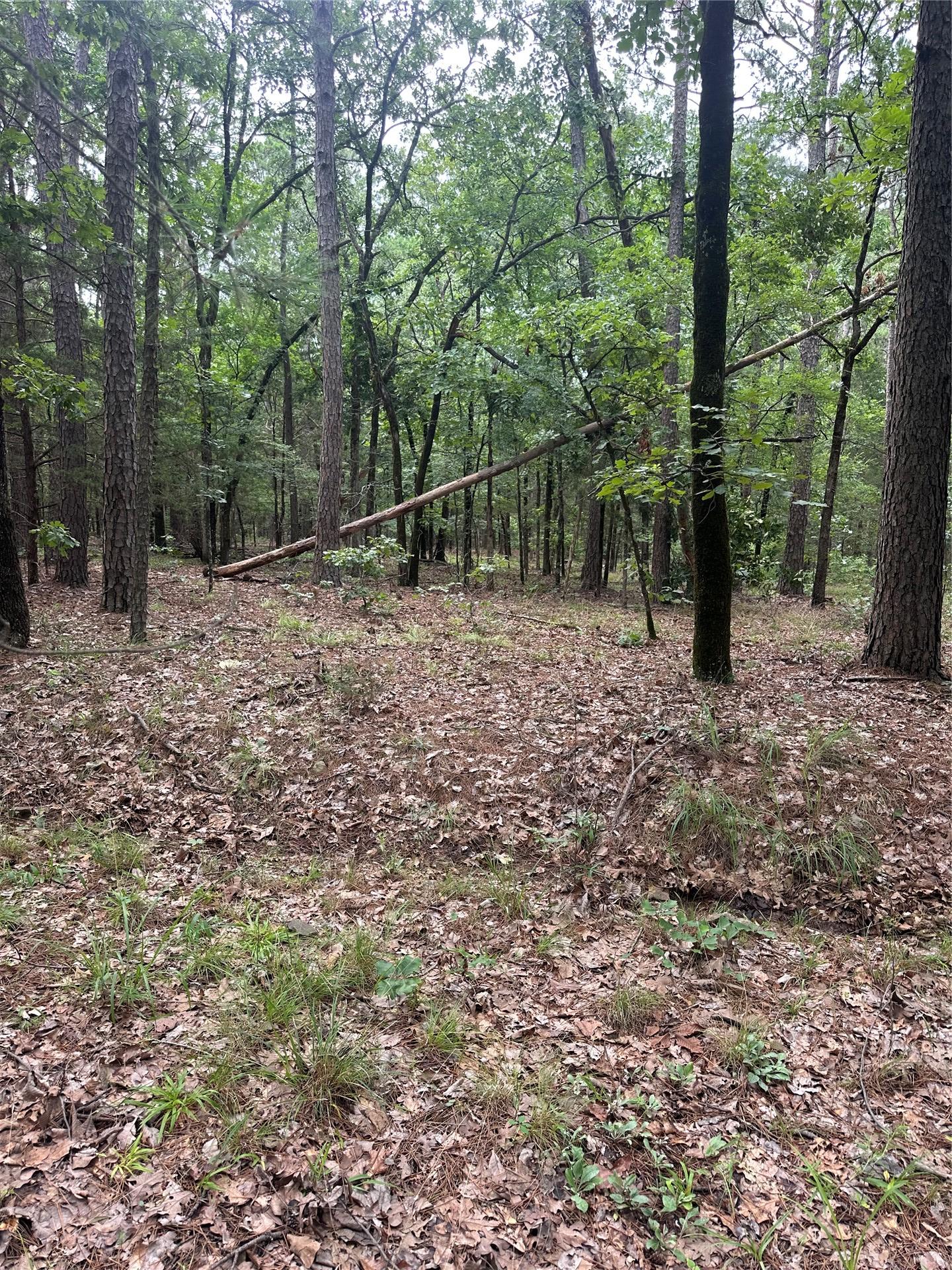 001 Johns Valley Road Moyers OK 74557