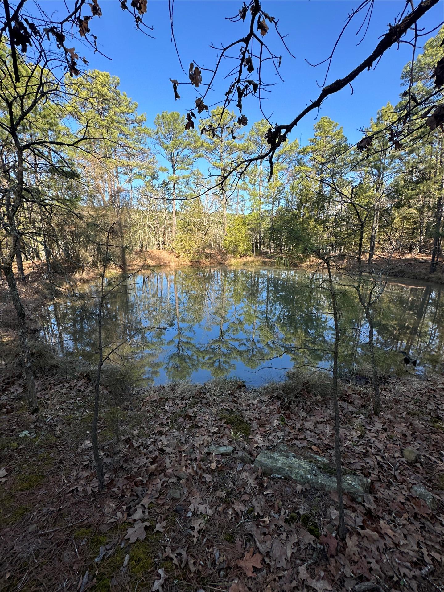 001 Johns Valley Road Moyers OK 74557