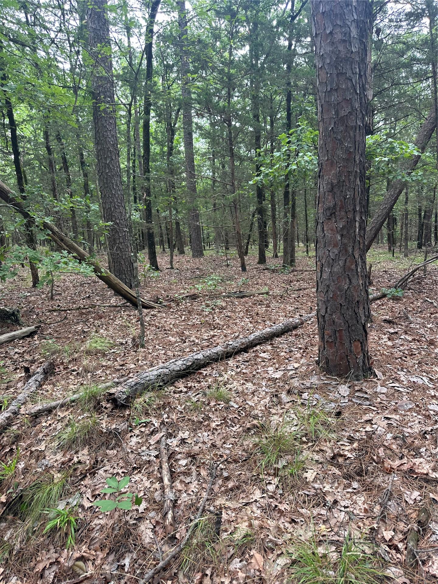 001 Johns Valley Road Moyers OK 74557