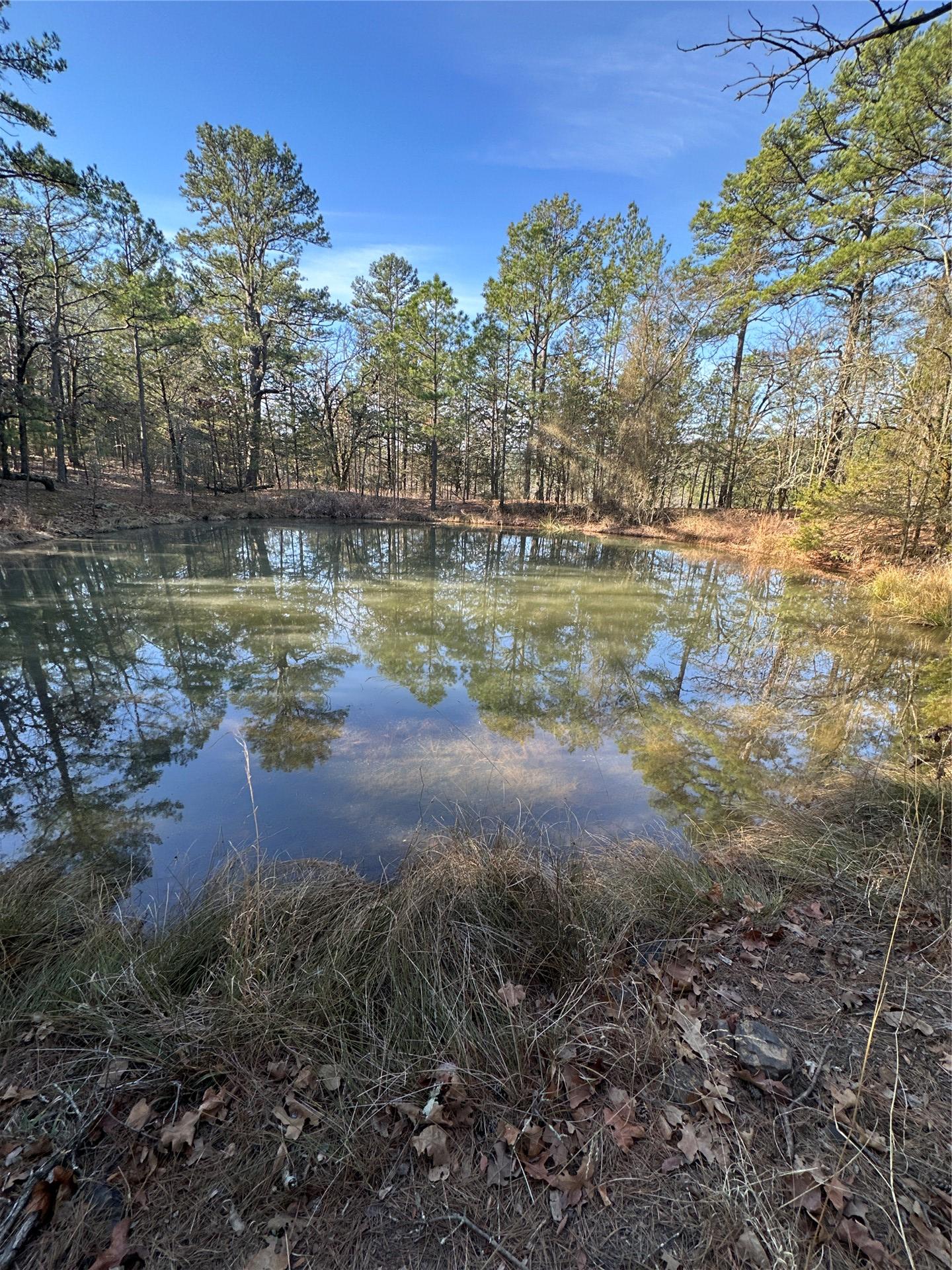 001 Johns Valley Road Moyers OK 74557