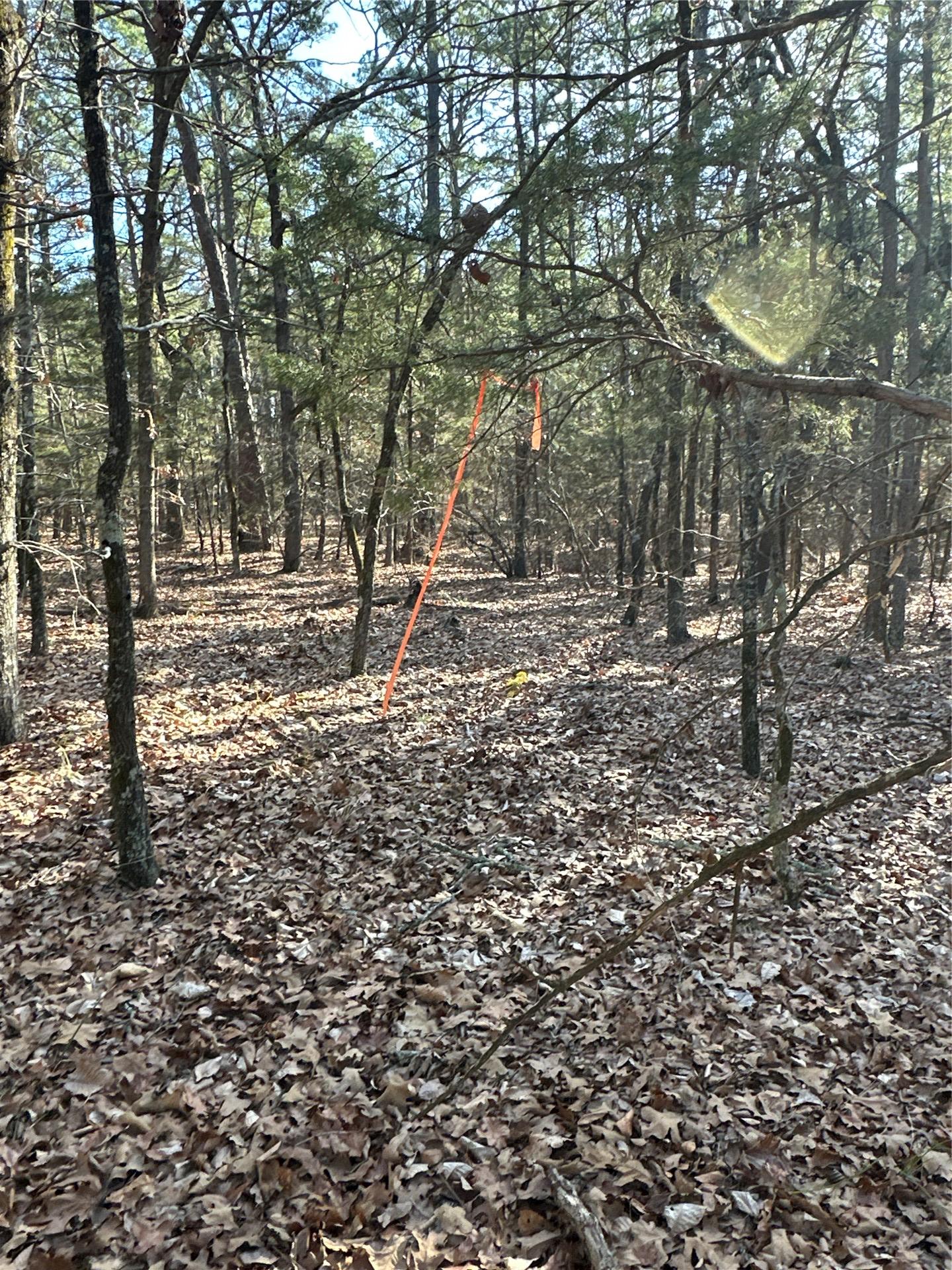 001 Johns Valley Road Moyers OK 74557