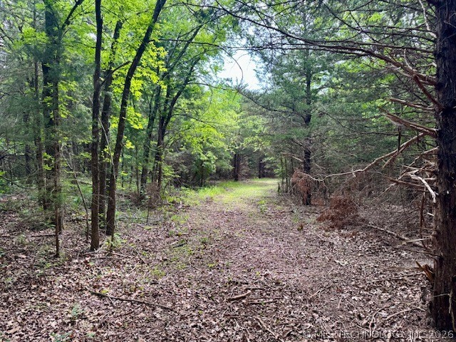 0003 Slab Road Wapanucka OK 73461