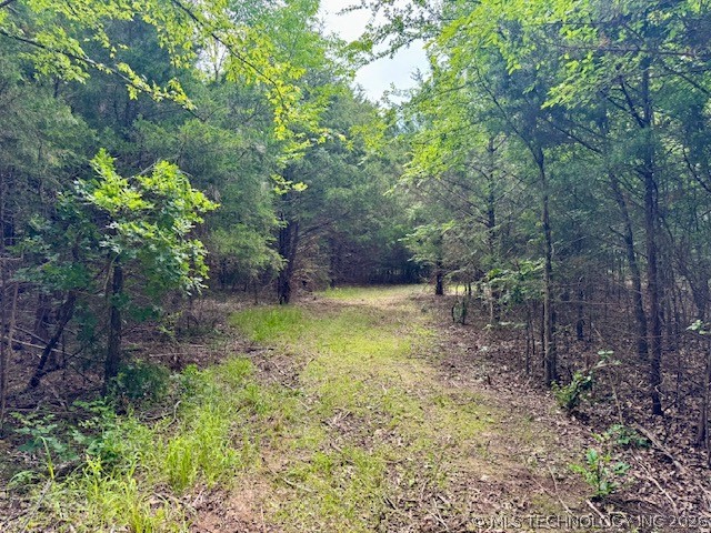 0003 Slab Road Wapanucka OK 73461