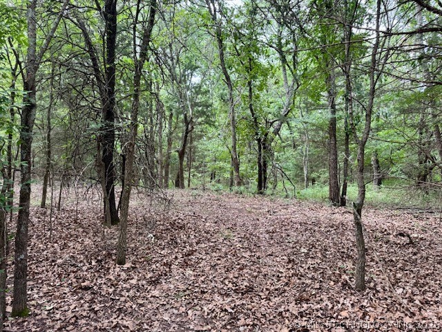 0003 Slab Road Wapanucka OK 73461