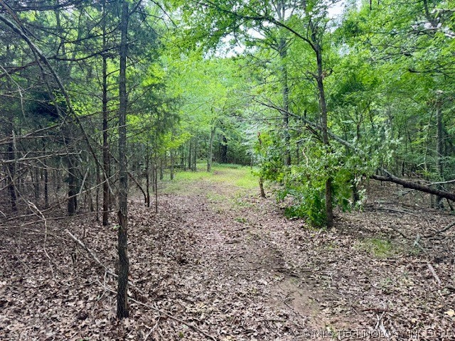 0003 Slab Road Wapanucka OK 73461