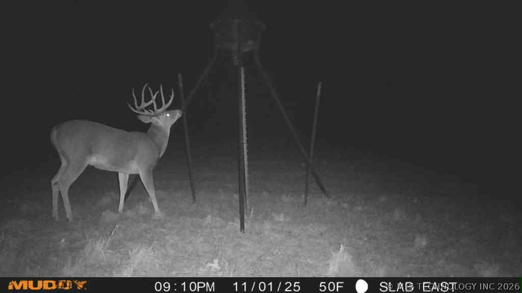 0003 Slab Road Wapanucka OK 73461