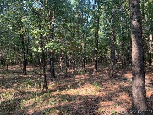 6 Eagle Ridge Road Sand Springs OK 74063