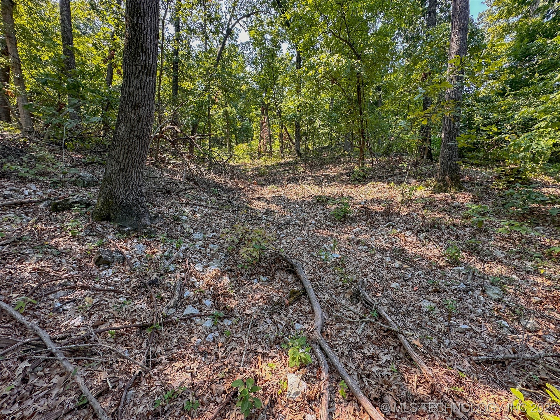 180 E Wyandotte Road Wyandotte OK 74370