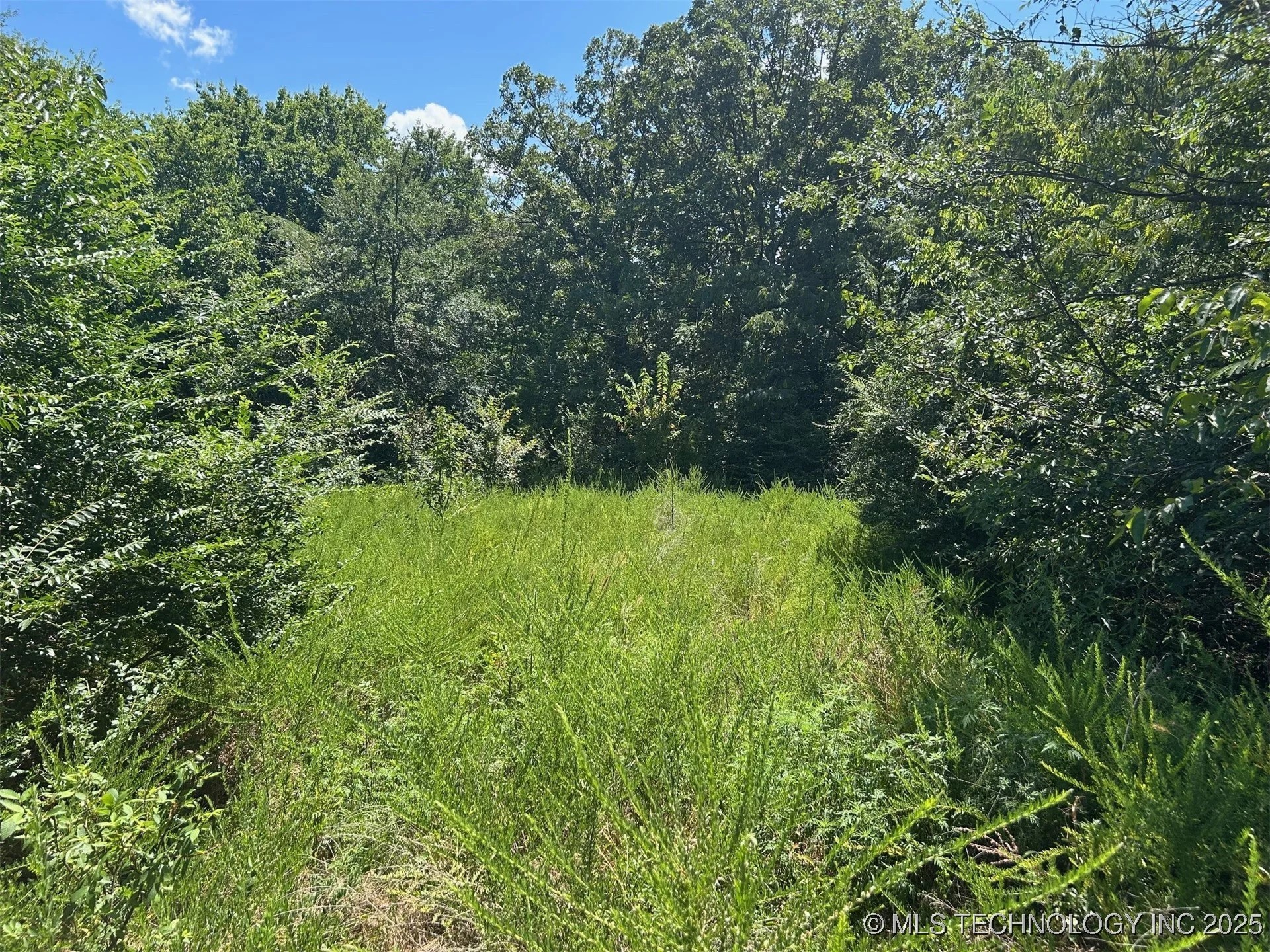 0000 Cottonwood Road Roland OK 74954