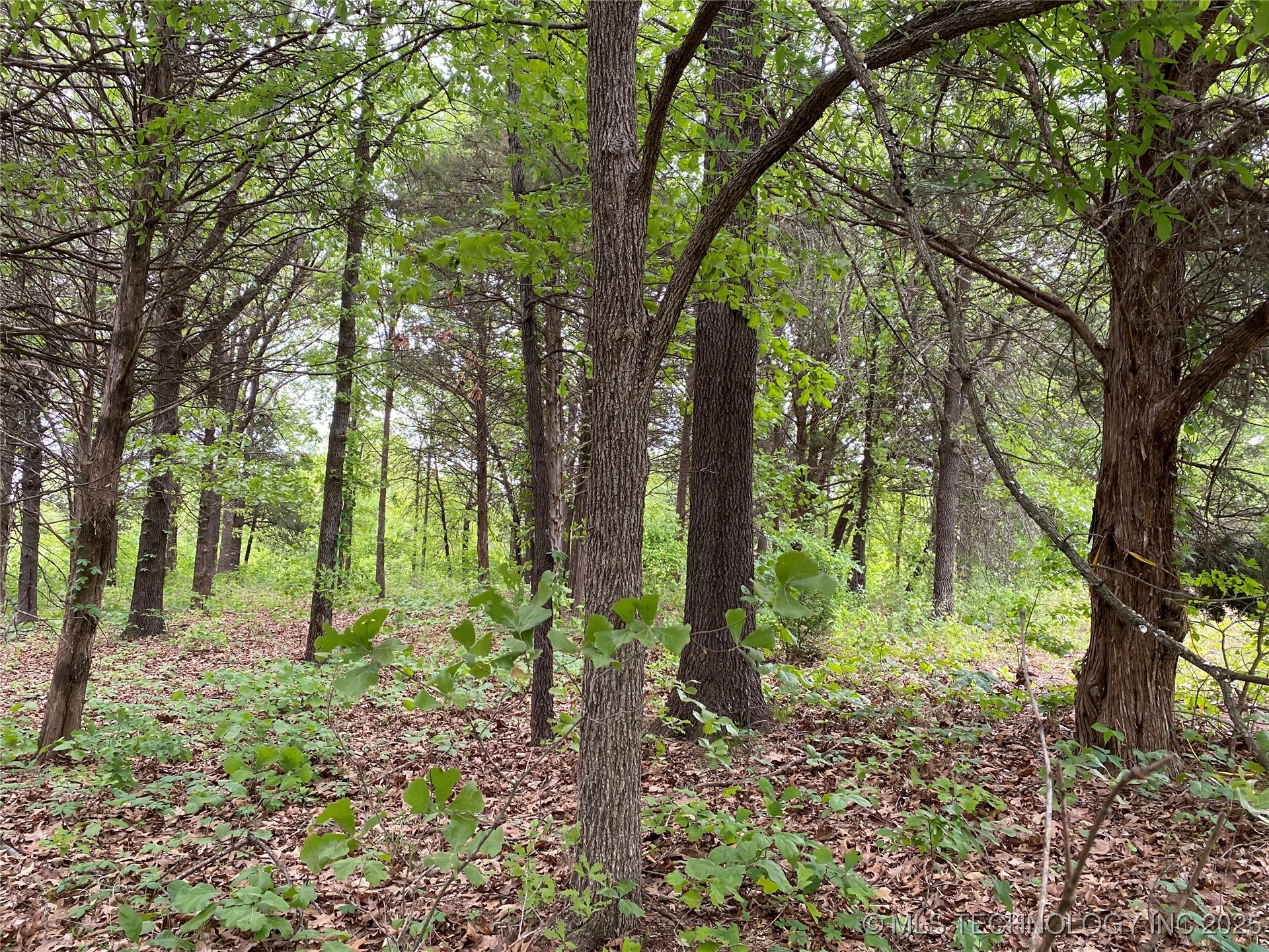 000 Cherokee Loop Indianola OK 74442