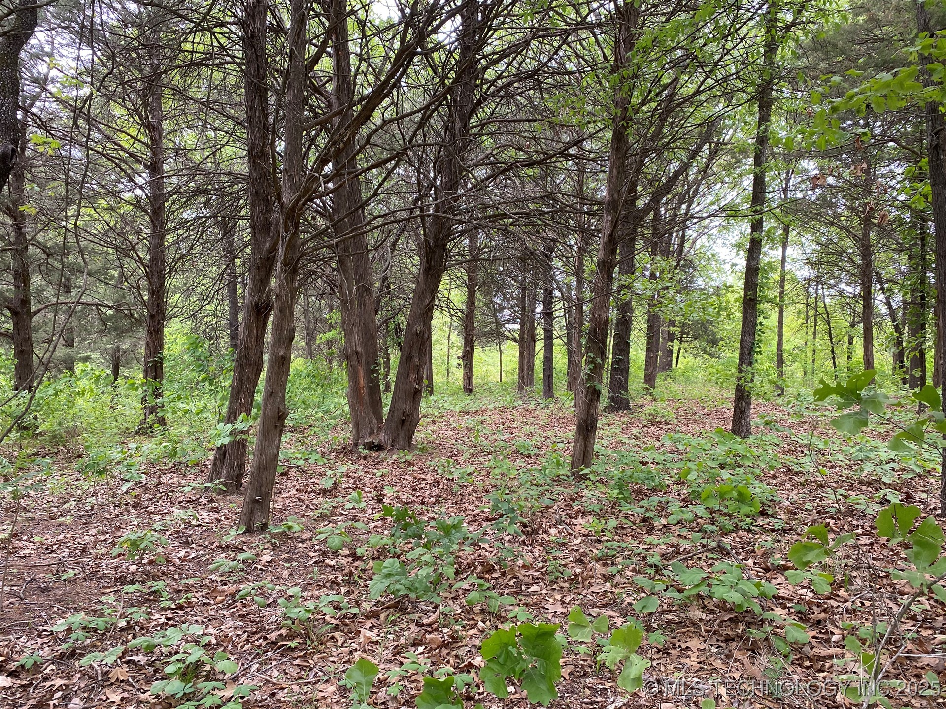 000 Cherokee Loop Indianola OK 74442