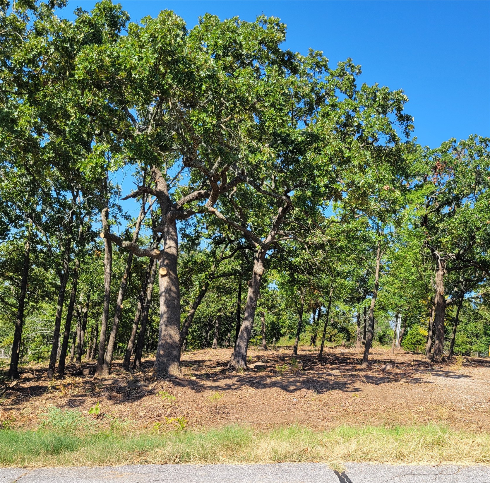 5332 Oak Timber Drive Tulsa OK 74131