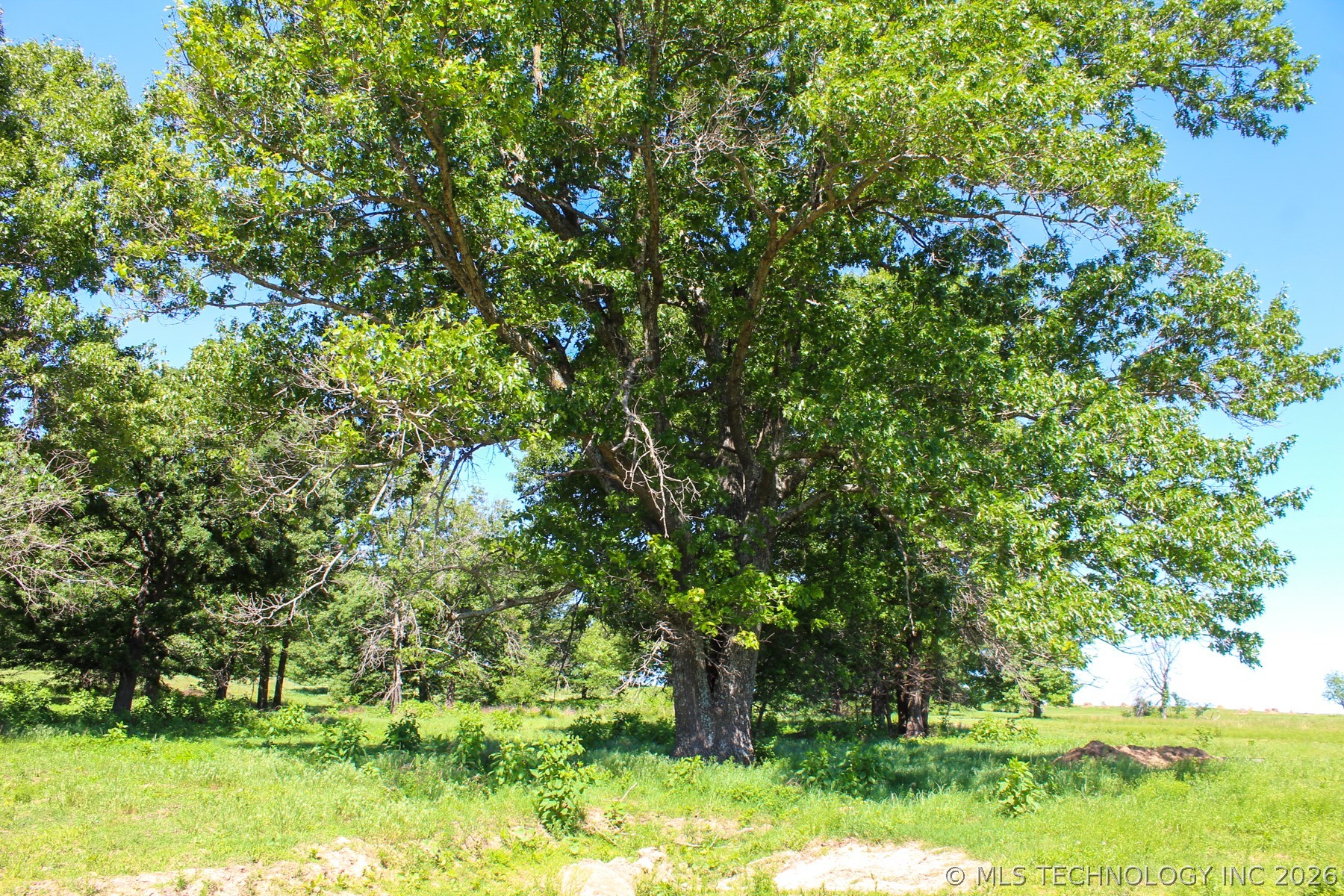 W 311th Street Depew OK 74028