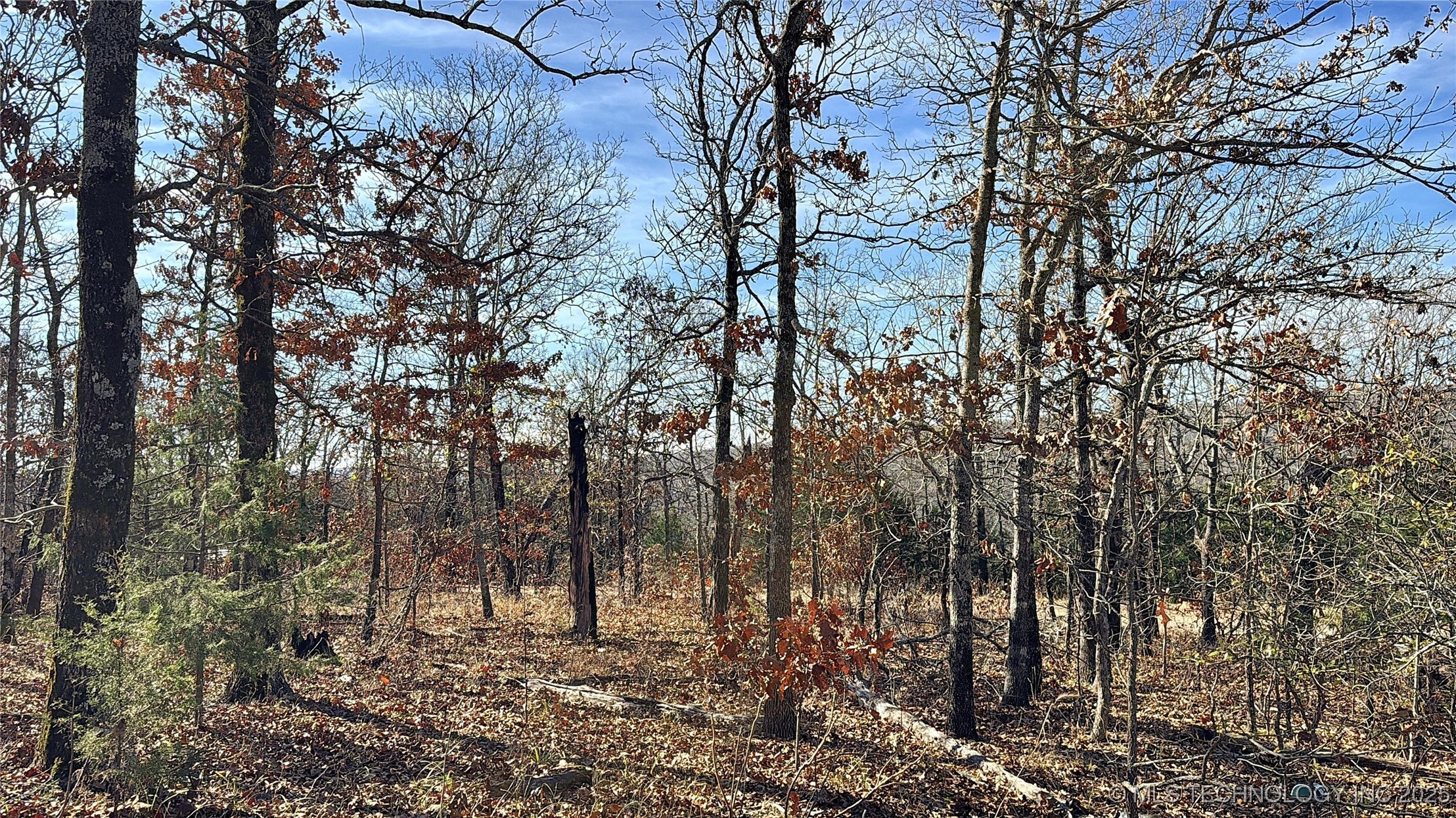 95001 S 4556 Road Vian OK 74962