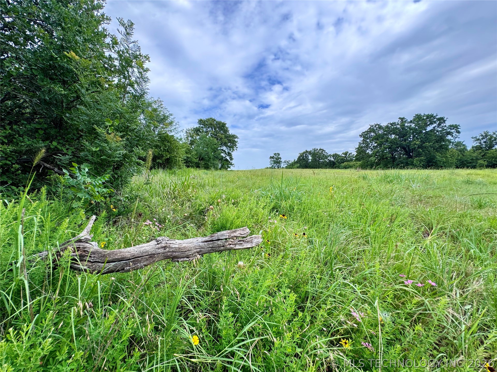 3689 No Man Road Healdton OK 73438
