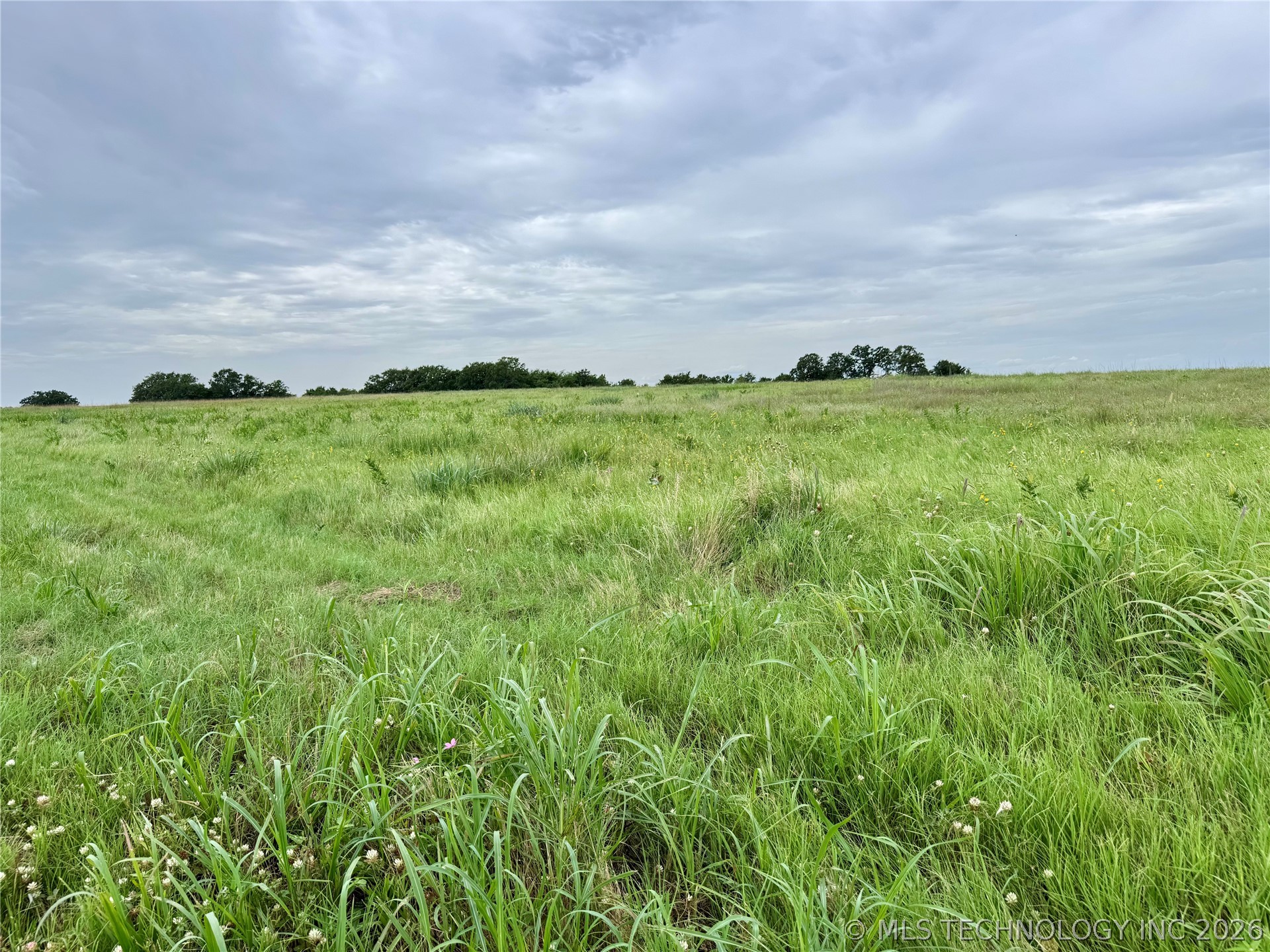 3689 No Man Road Healdton OK 73438