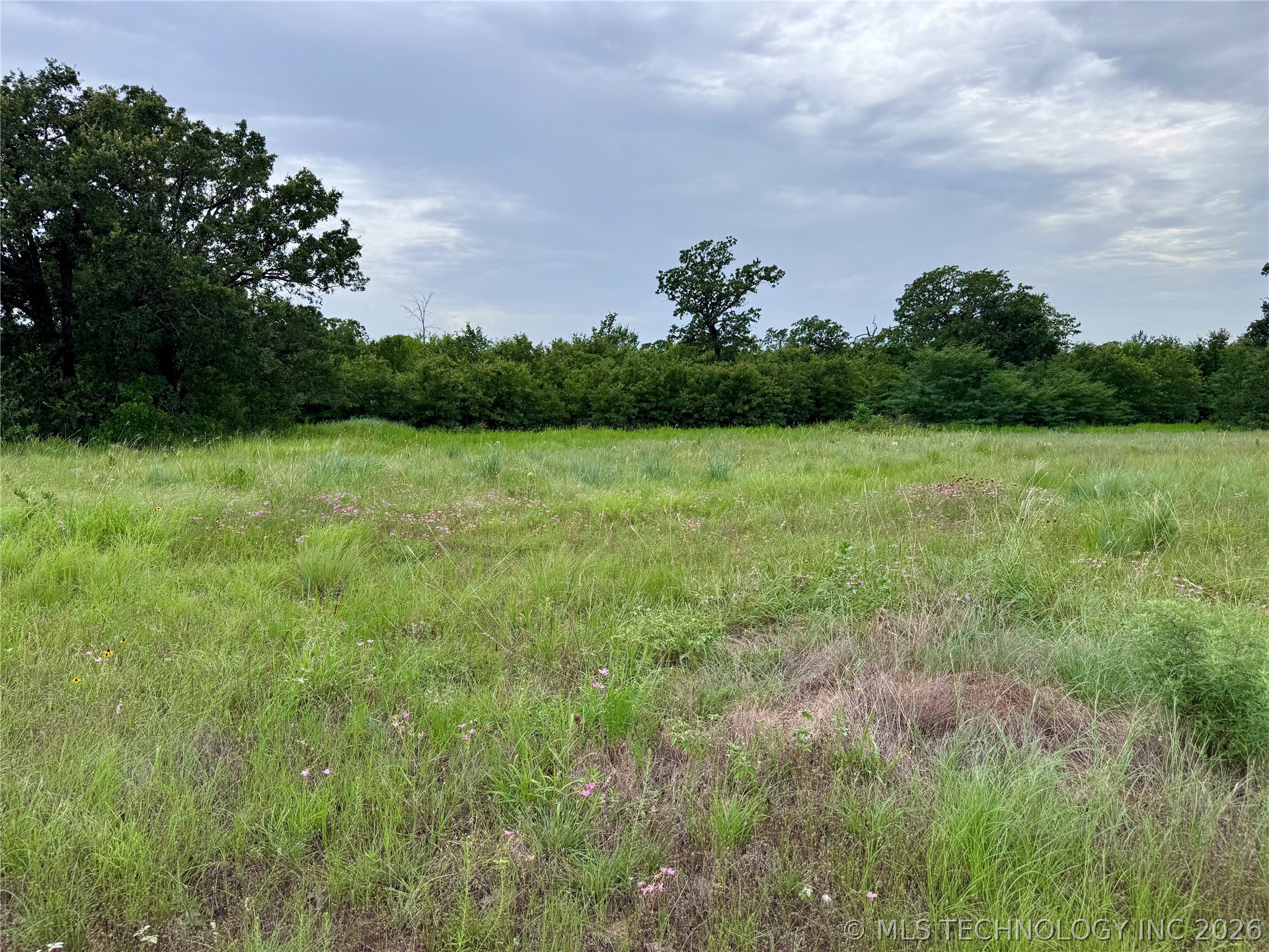 3689 No Man Road Healdton OK 73438