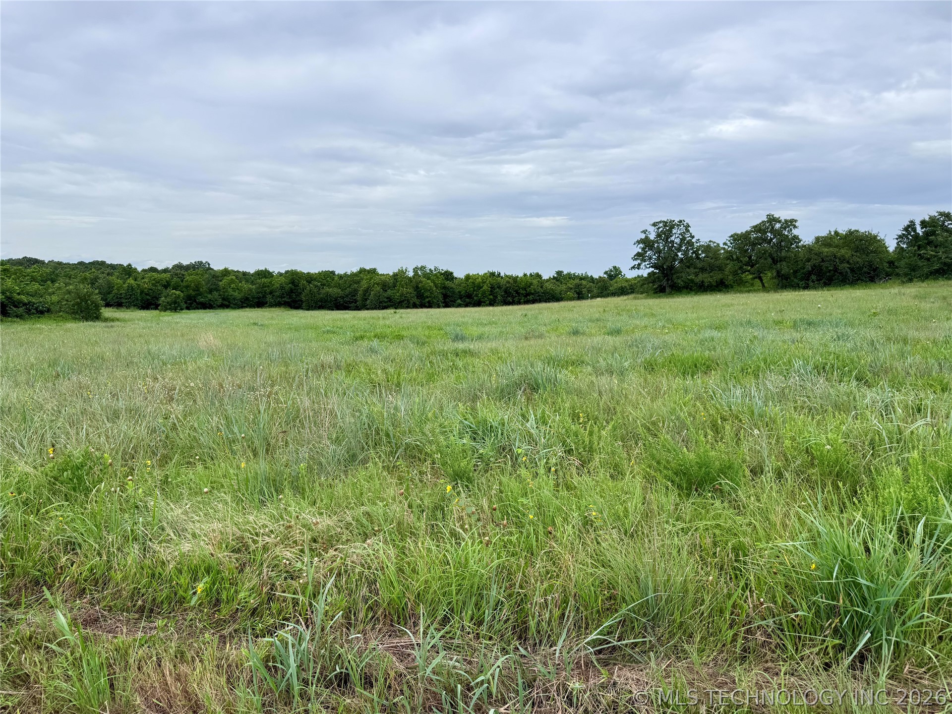 3689 No Man Road Healdton OK 73438