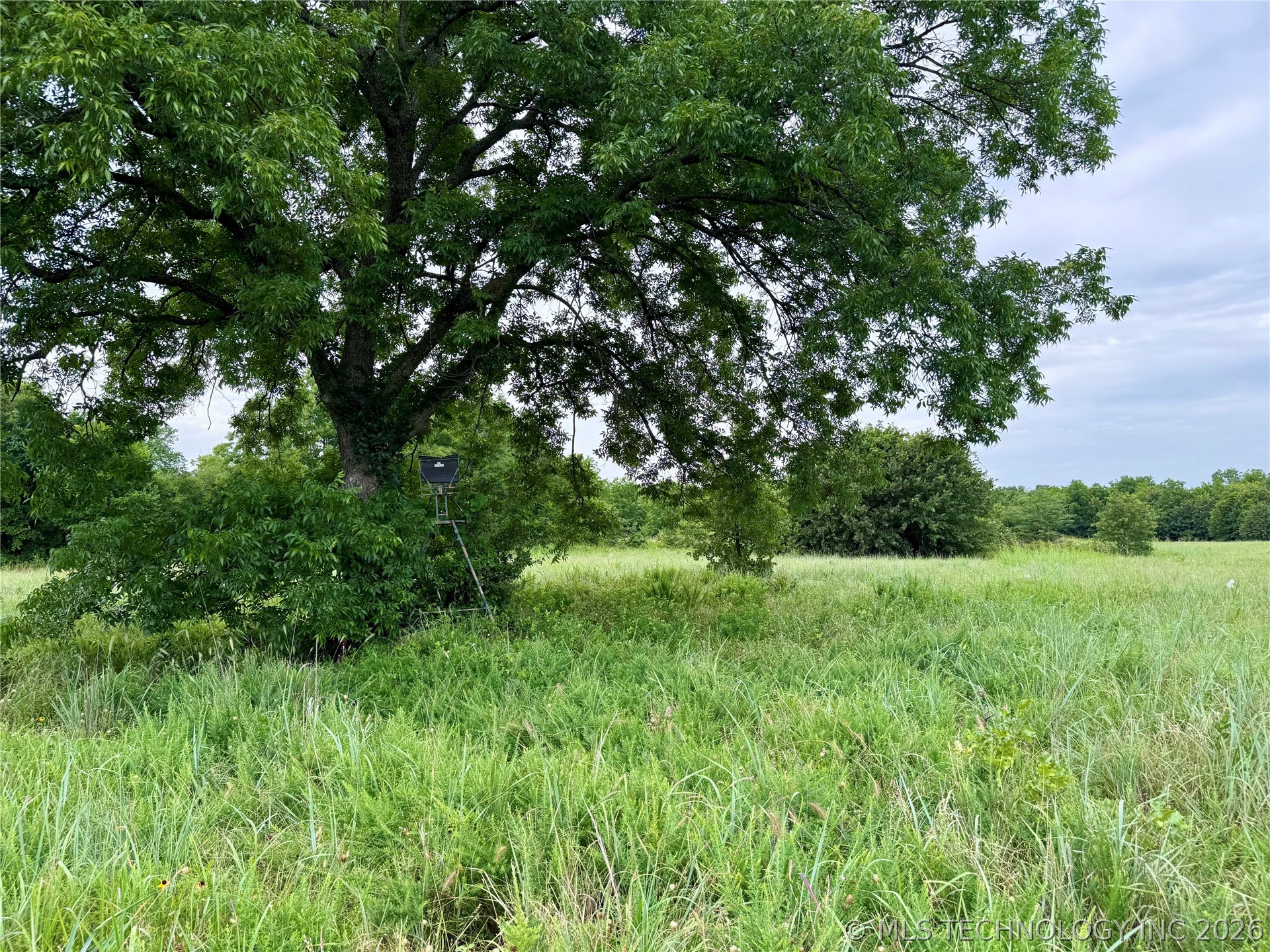 3689 No Man Road Healdton OK 73438