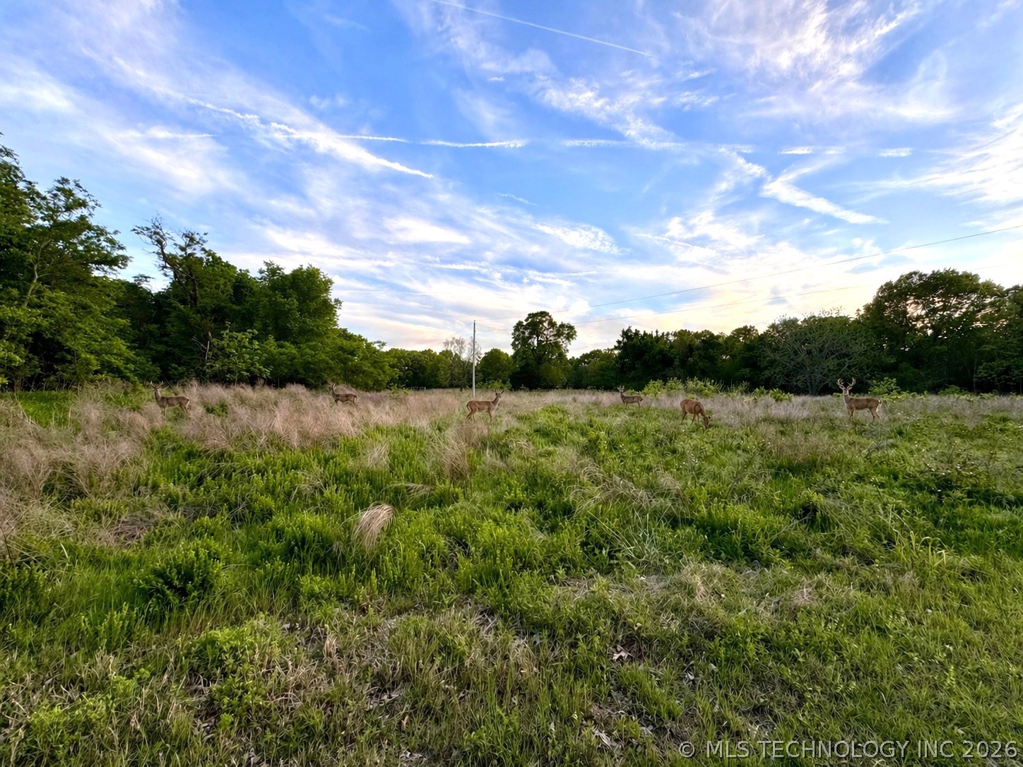 9270 E 420 Road Adair OK 74330