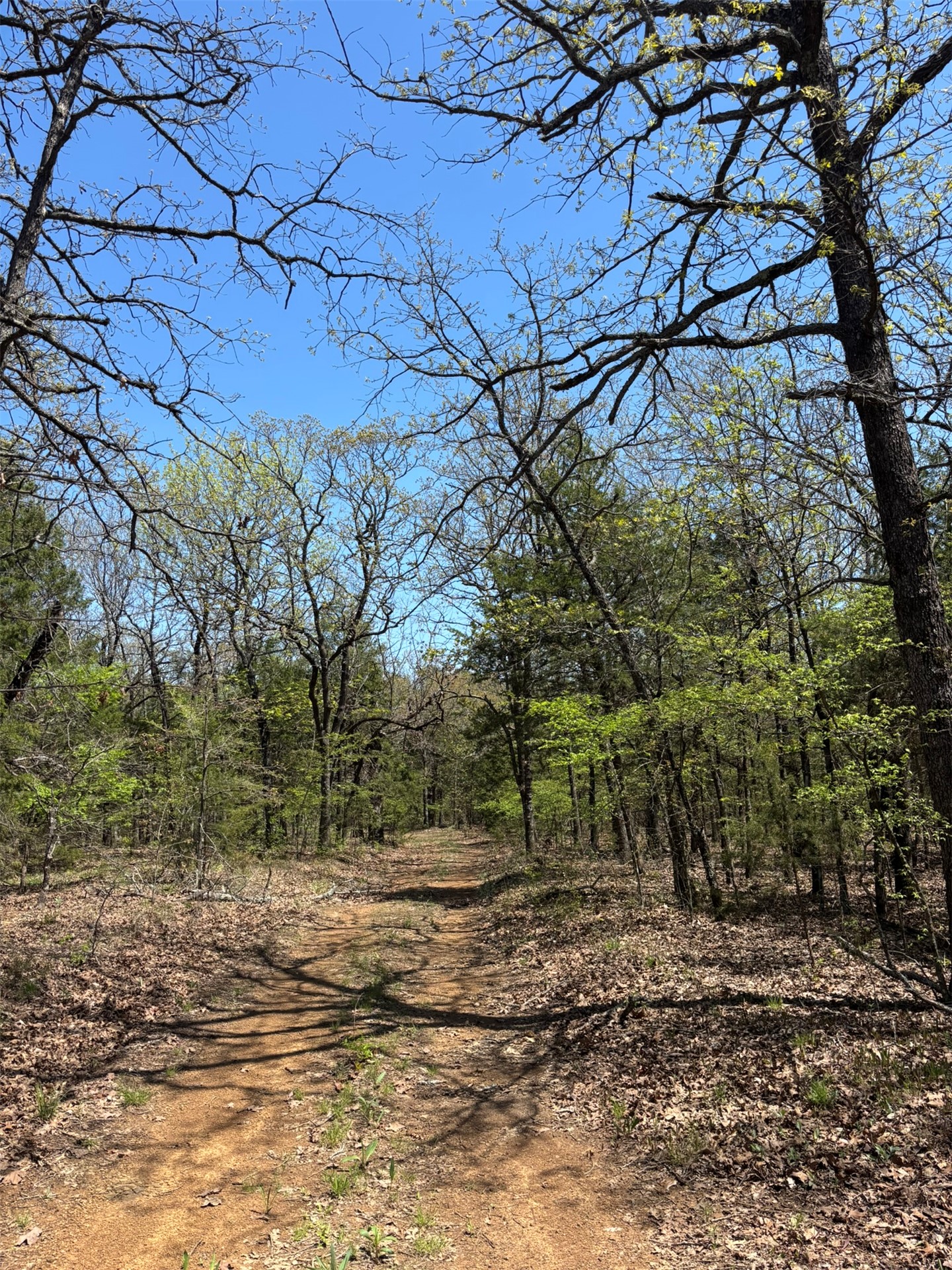389 Road Stuart OK 74570
