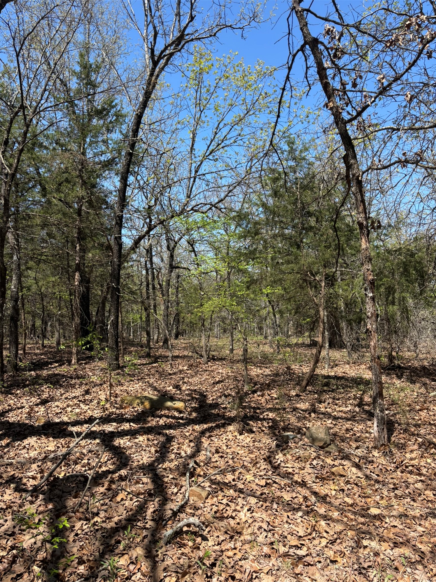 389 Road Stuart OK 74570