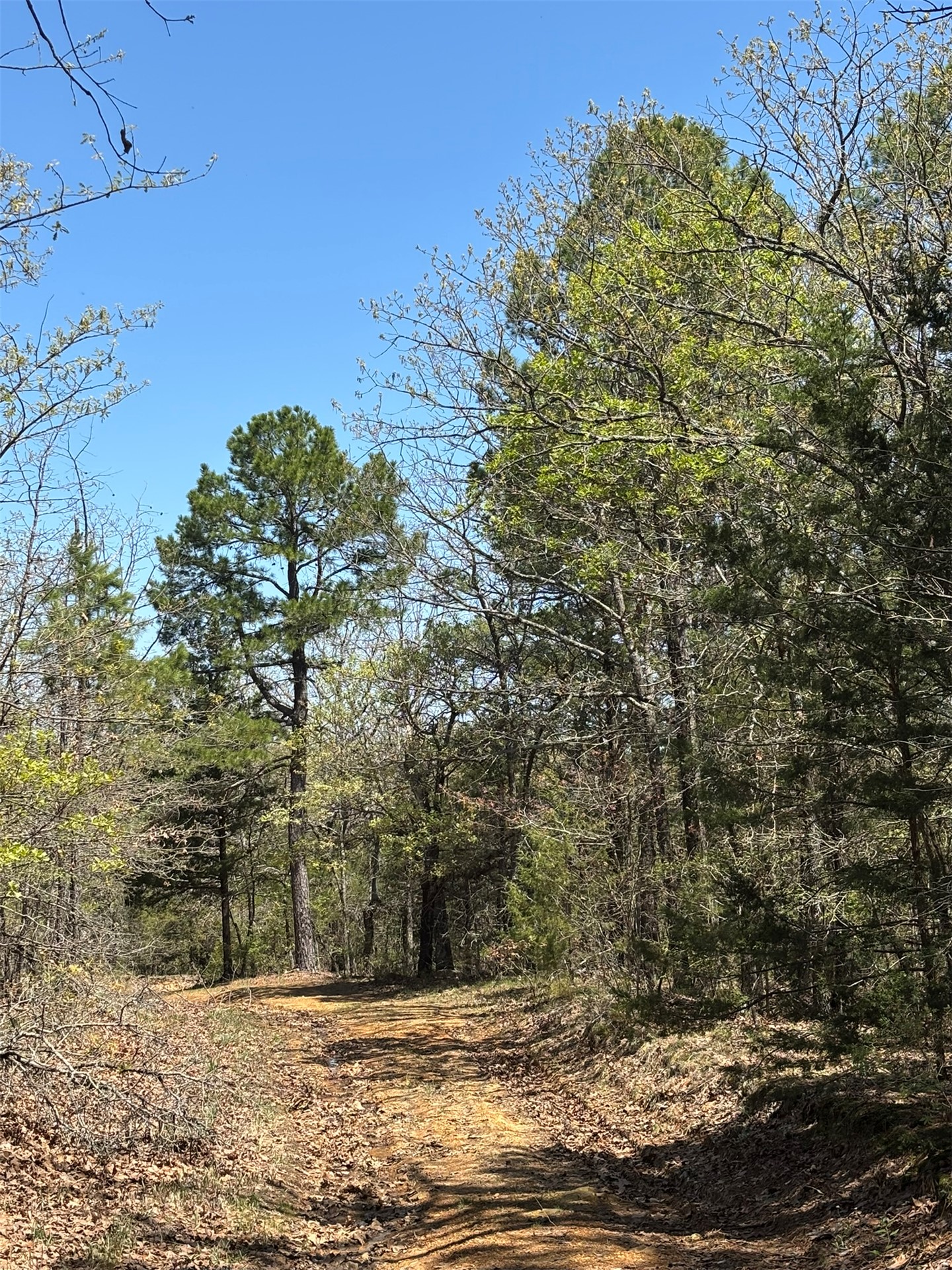 389 Road Stuart OK 74570