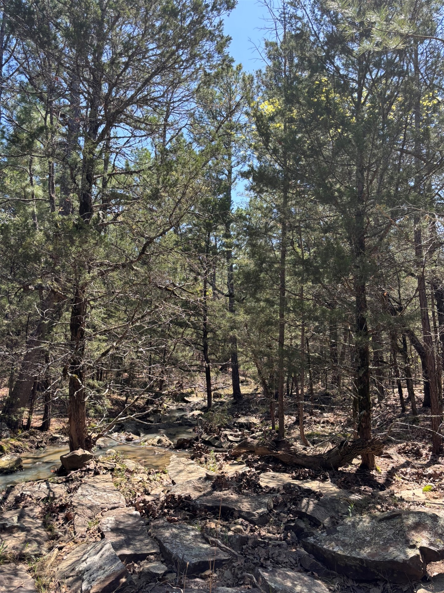 389 Road Stuart OK 74570