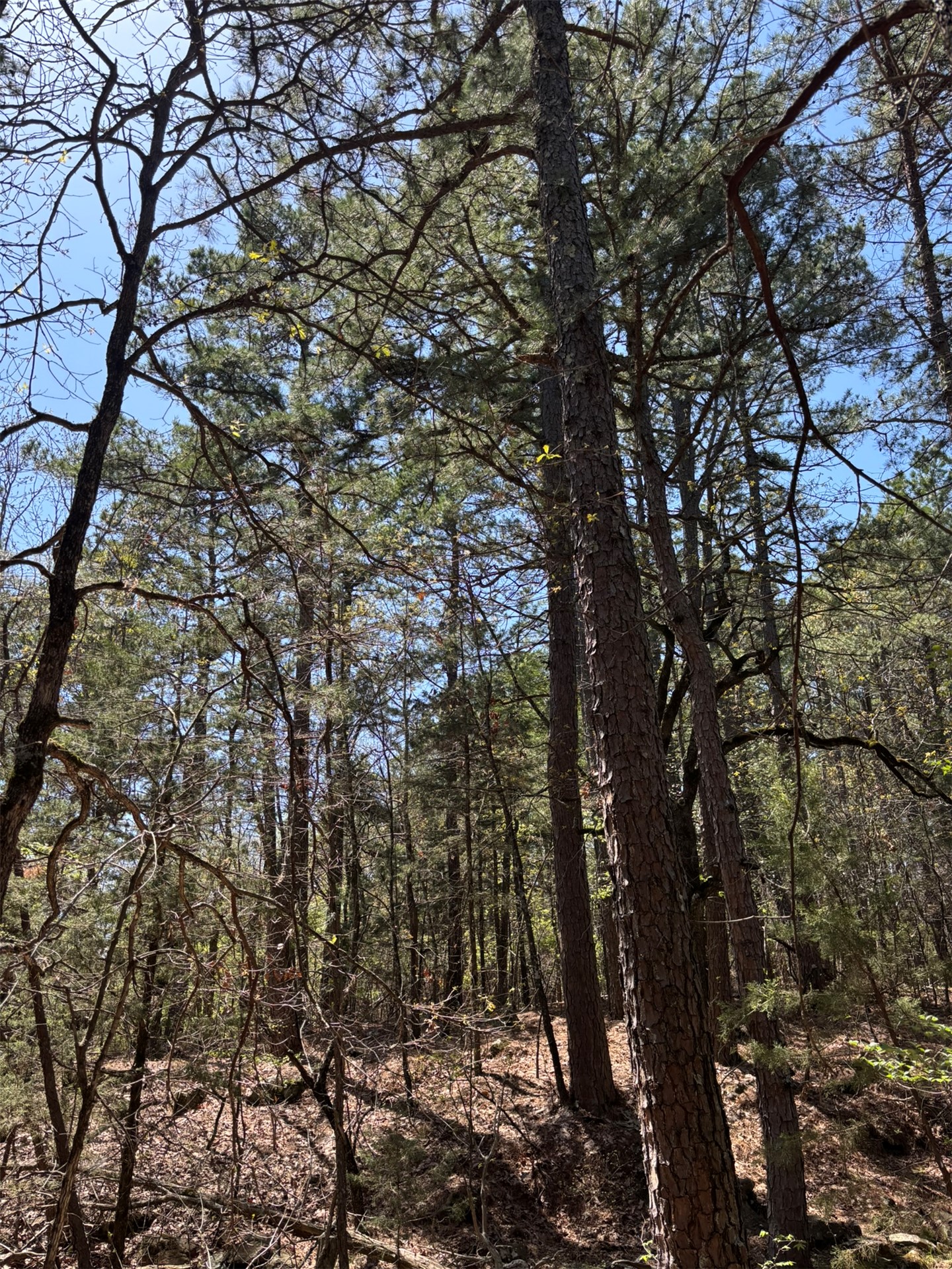 389 Road Stuart OK 74570