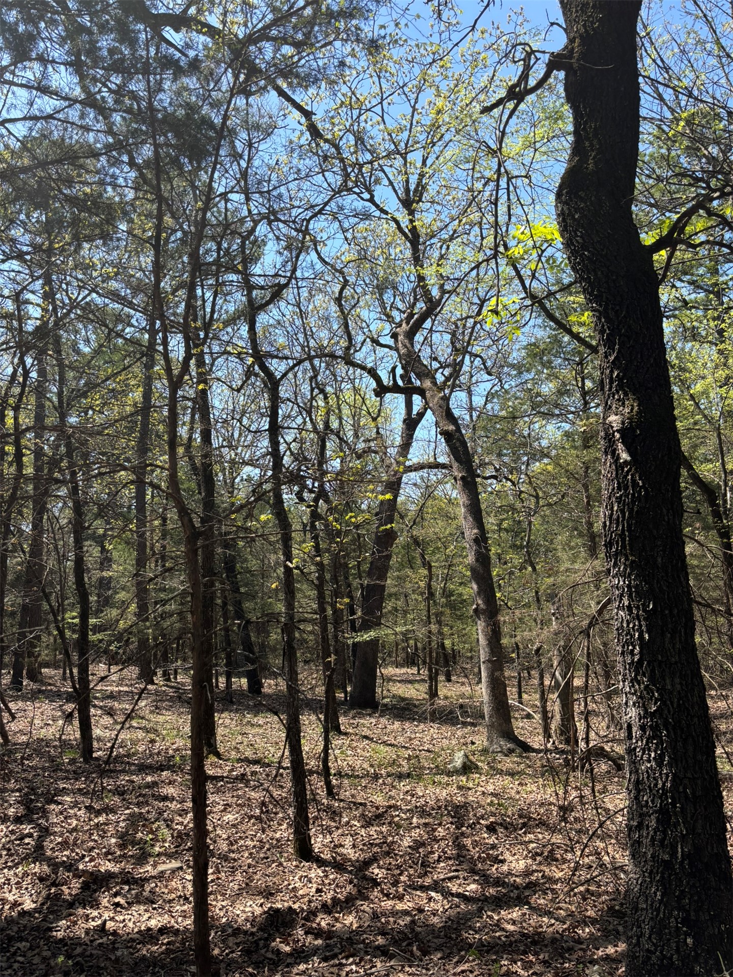 389 Road Stuart OK 74570
