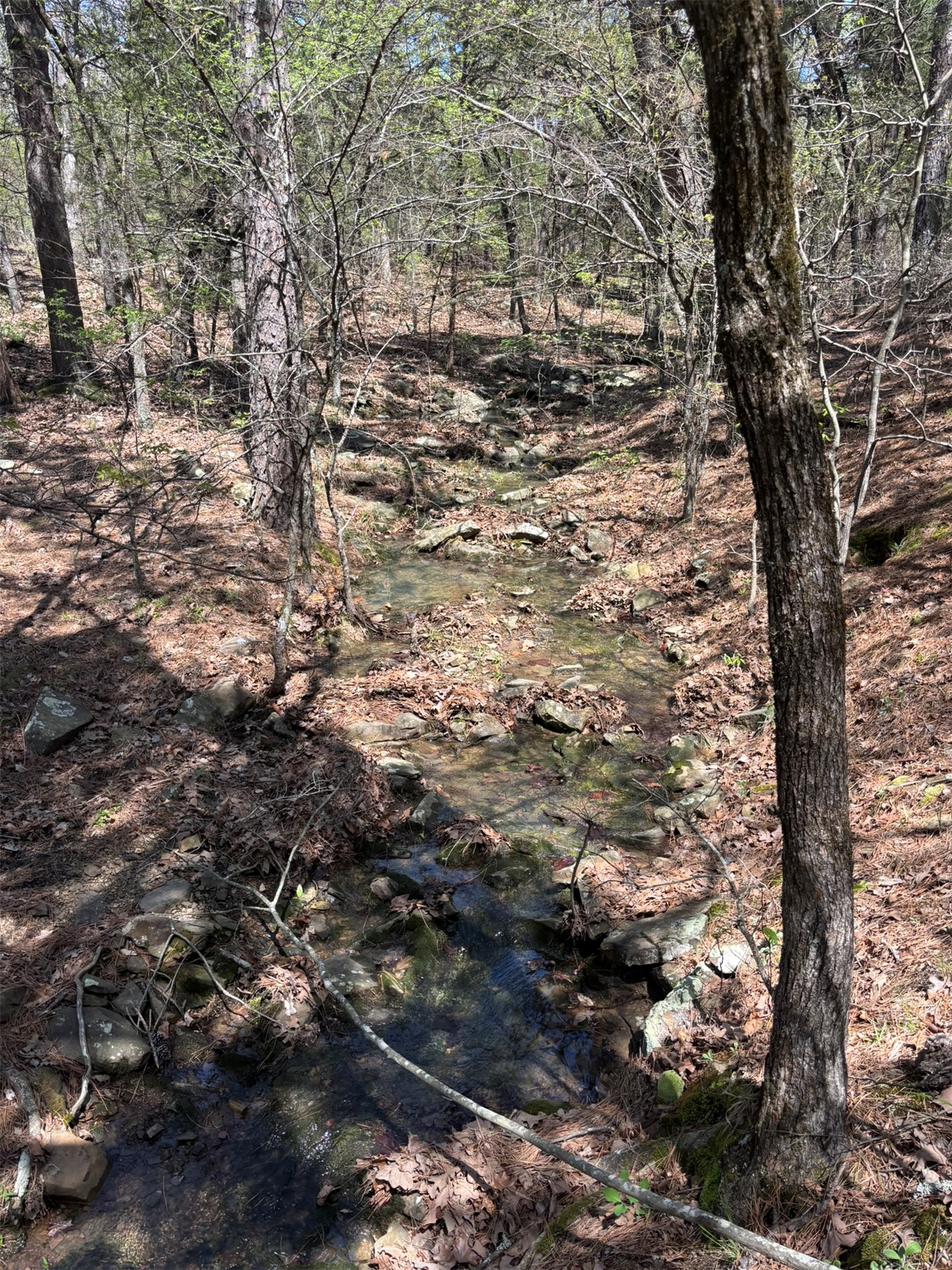 389 Road Stuart OK 74570