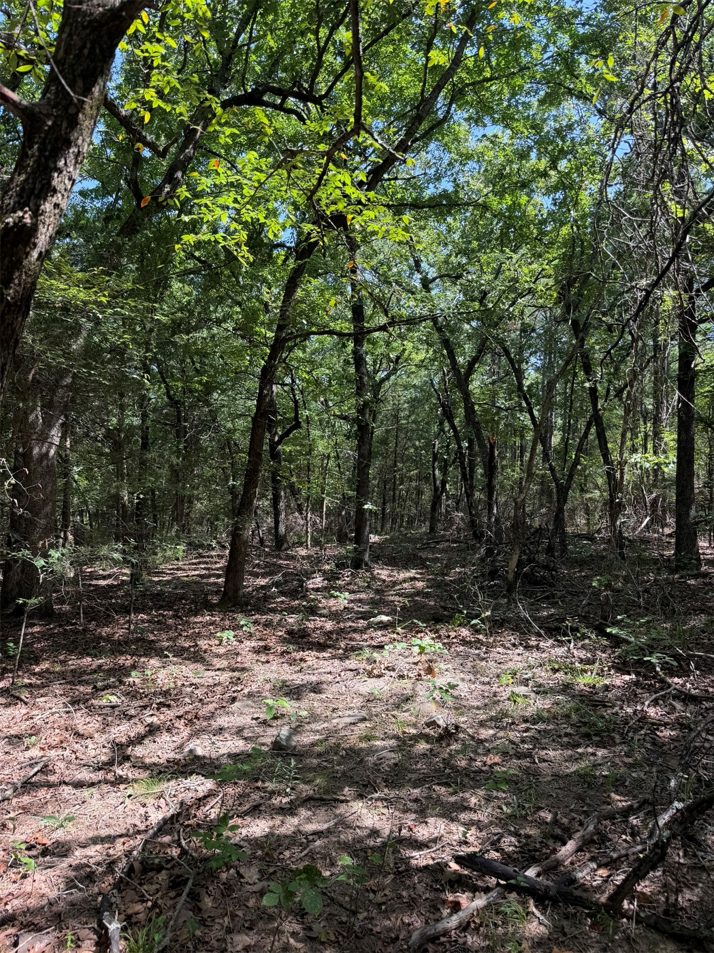 389 Road Stuart OK 74570