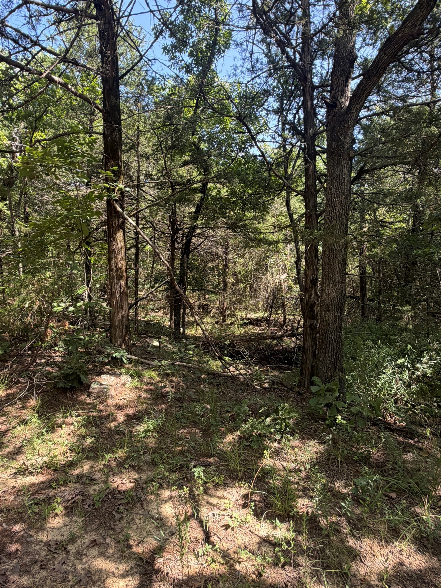 389 Road Stuart OK 74570