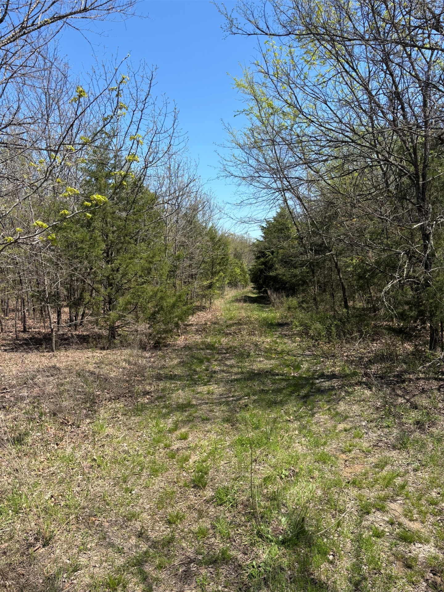 389 Road Stuart OK 74570