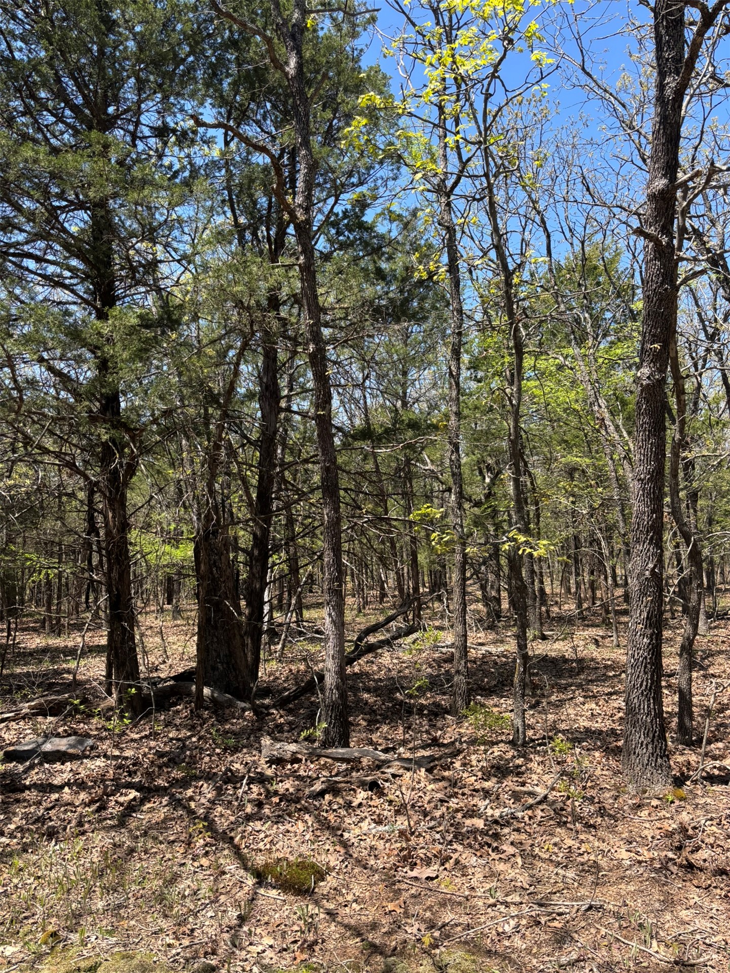 389 Road Stuart OK 74570