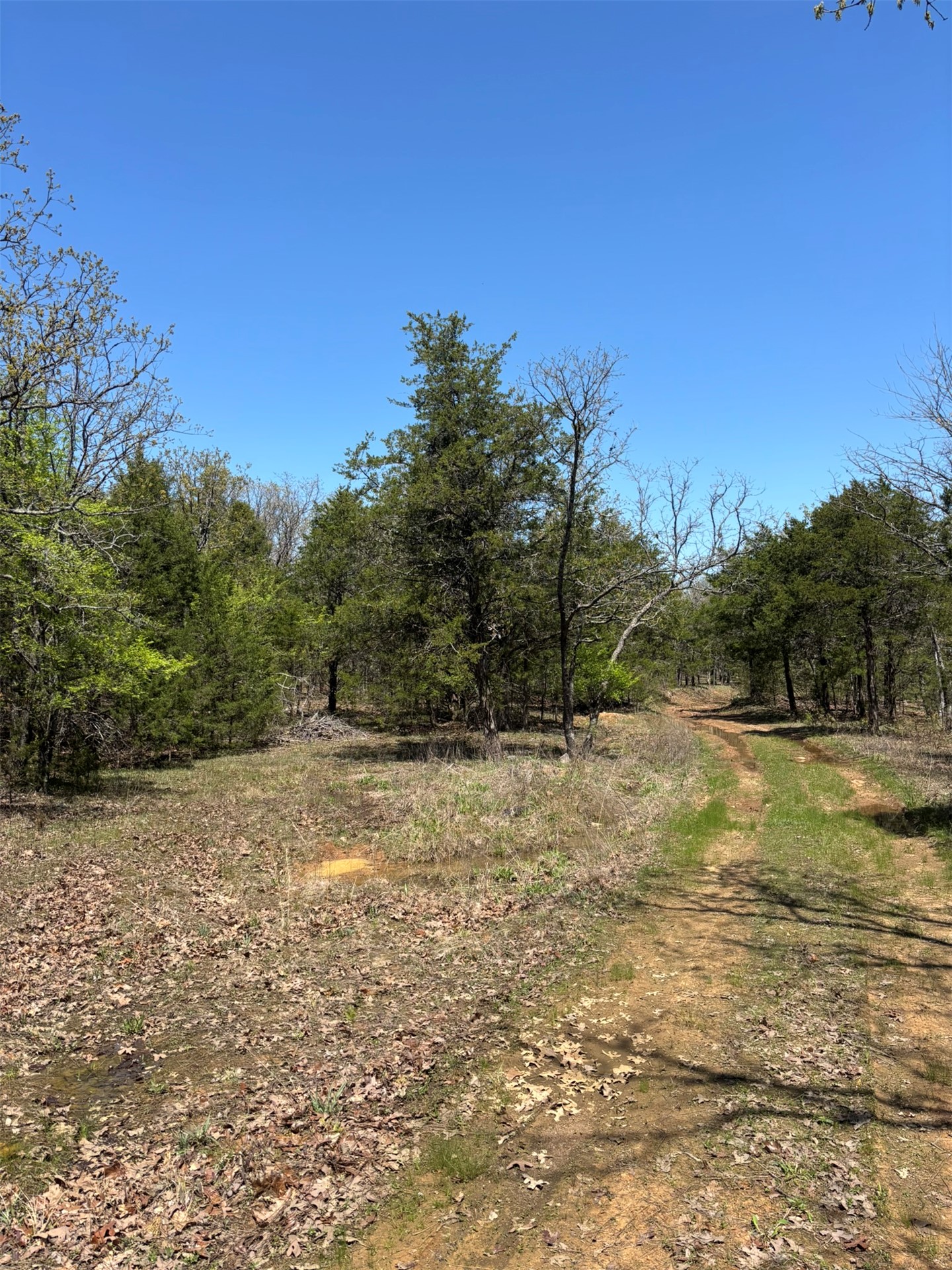 389 Road Stuart OK 74570