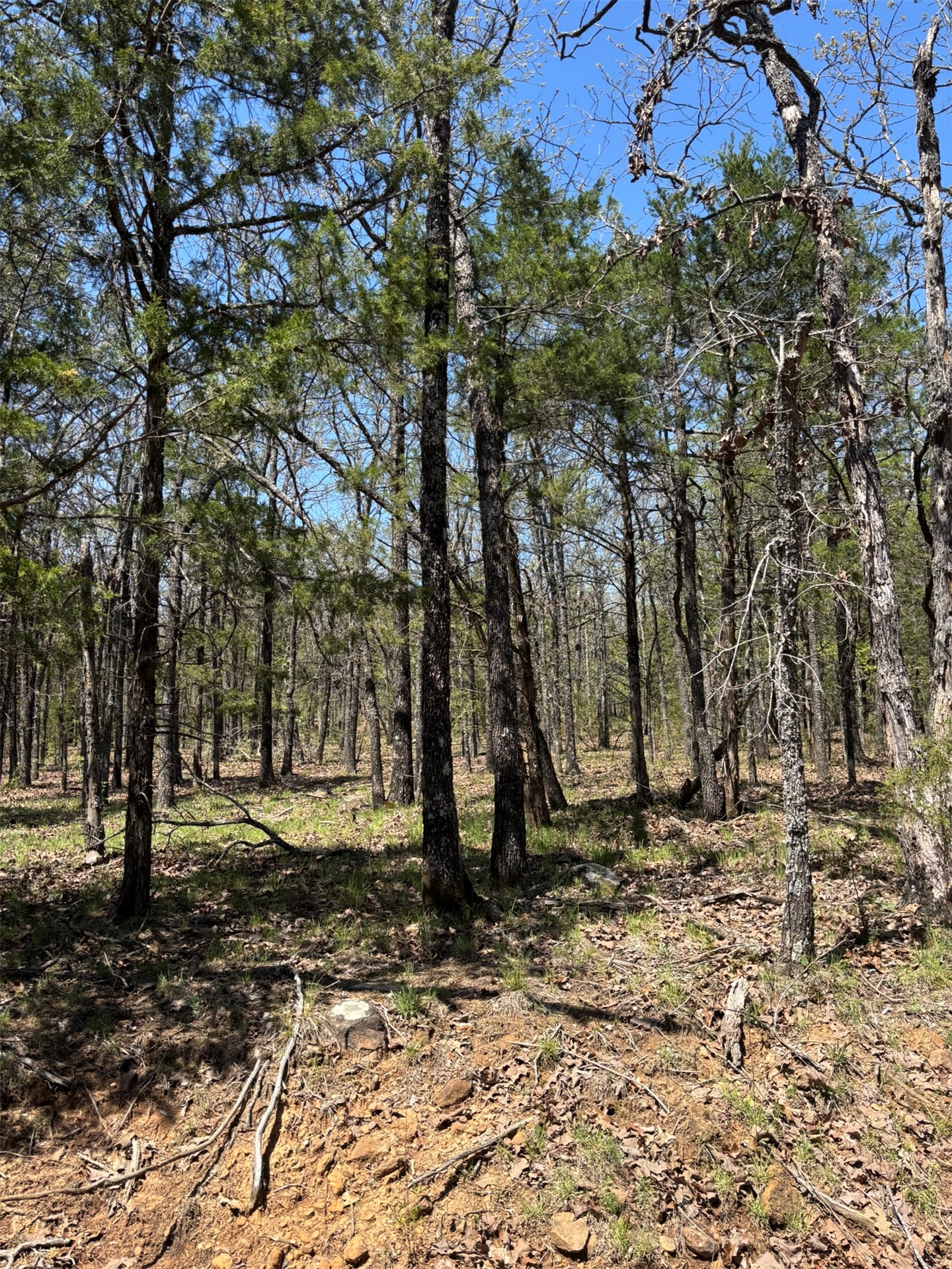 389 Road Stuart OK 74570