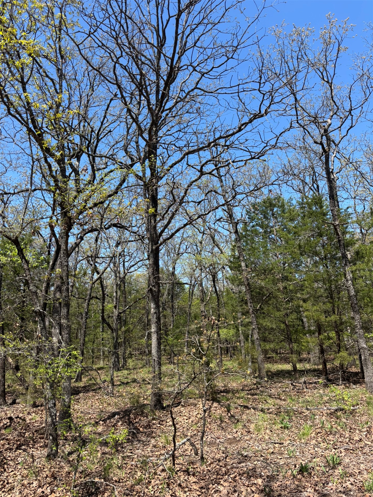 389 Road Stuart OK 74570