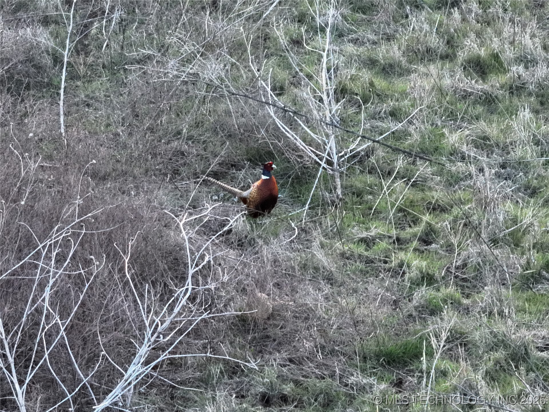 Prospect Ponca City OK 74601