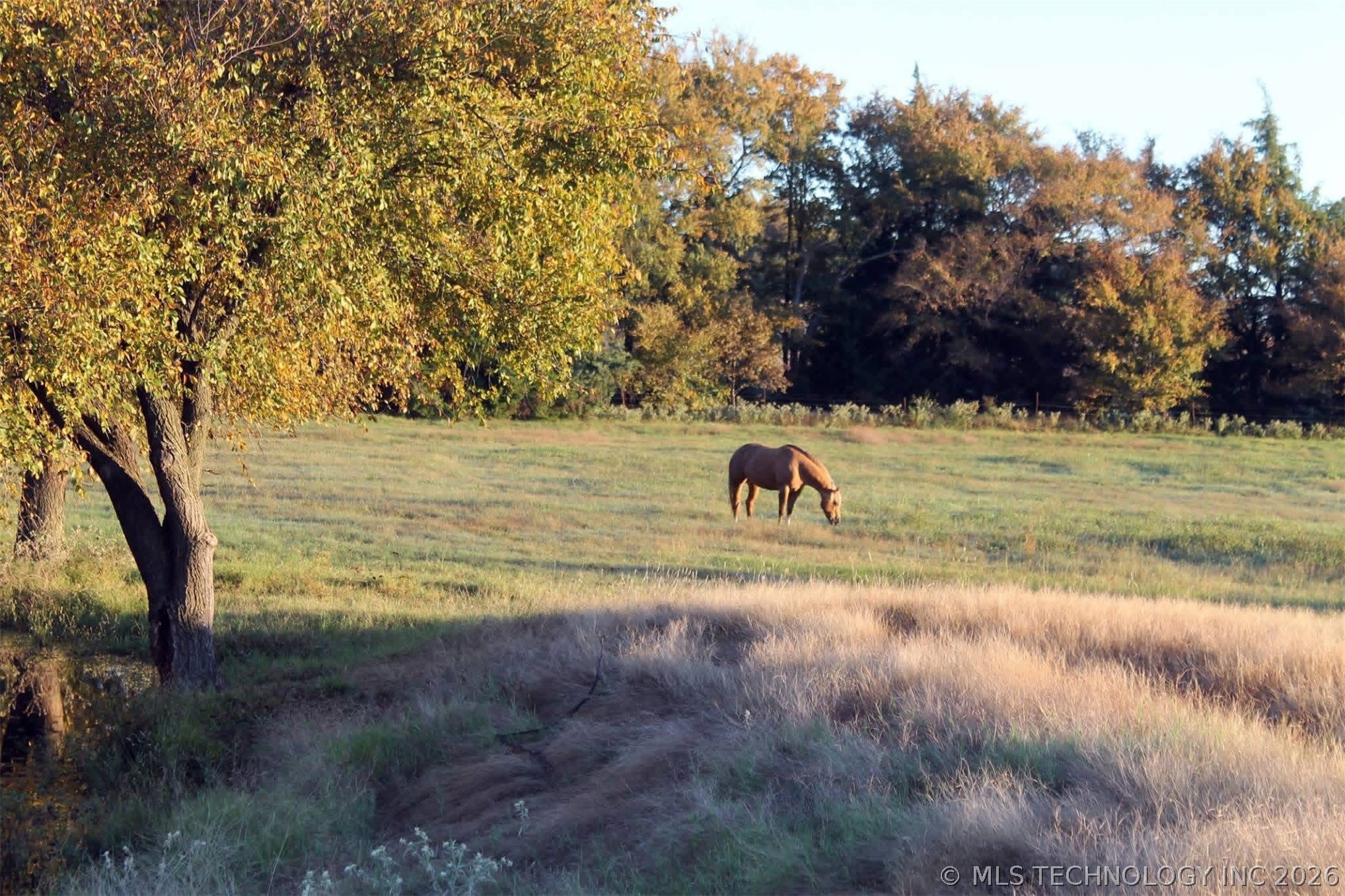 2 Dairy Drive Hendrix OK 74741