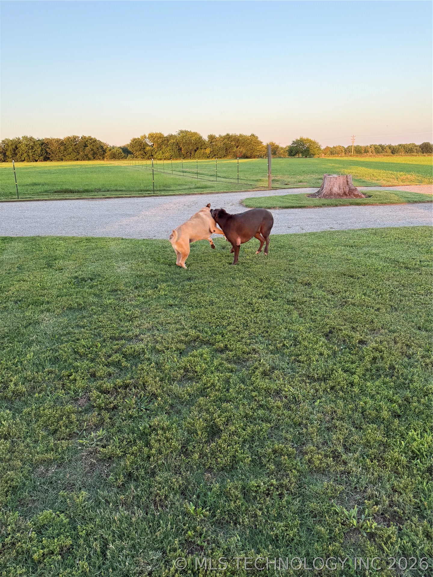 2 Dairy Drive Hendrix OK 74741
