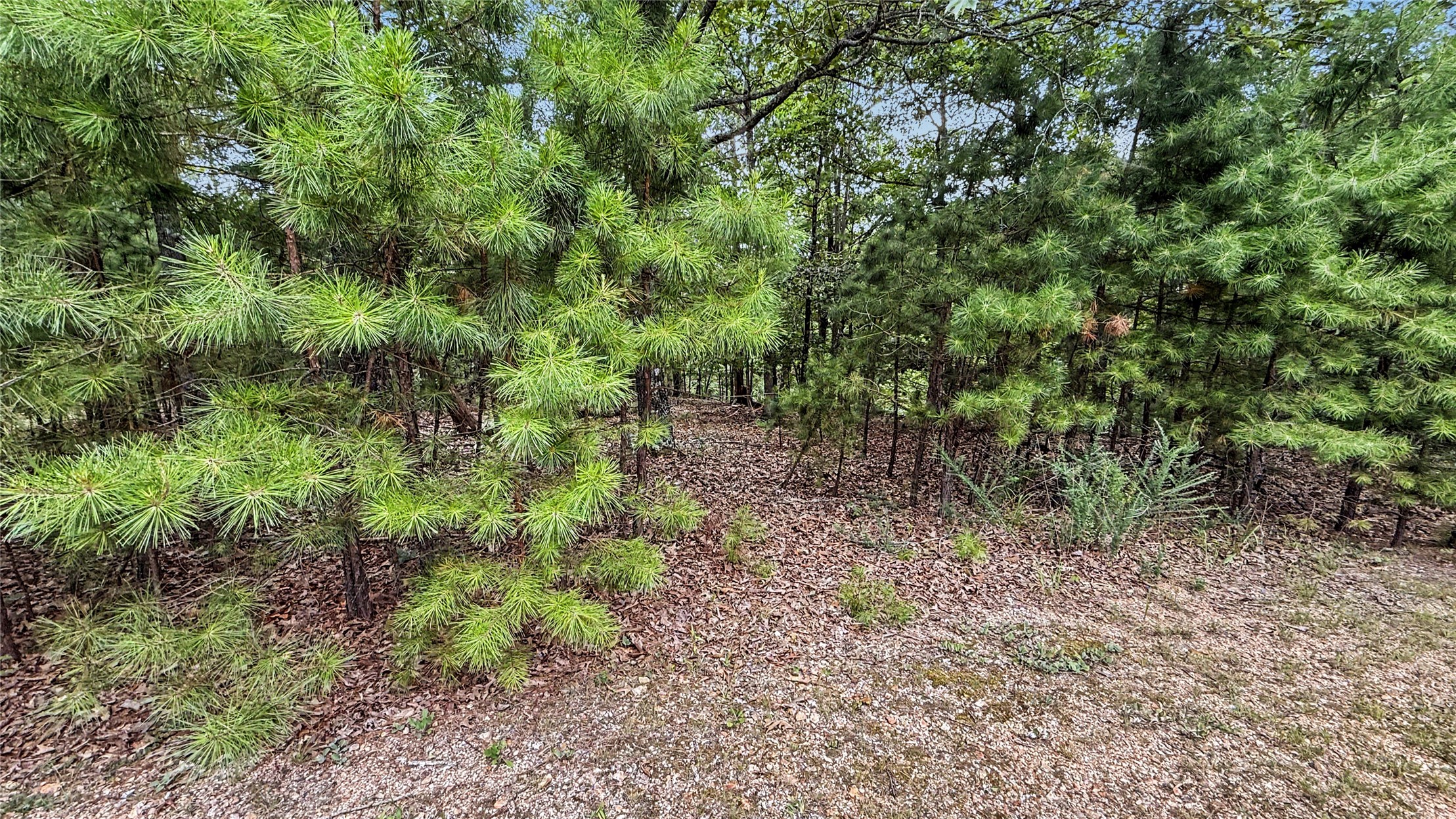 1595 Deer Lake Drive Kansas OK 74347