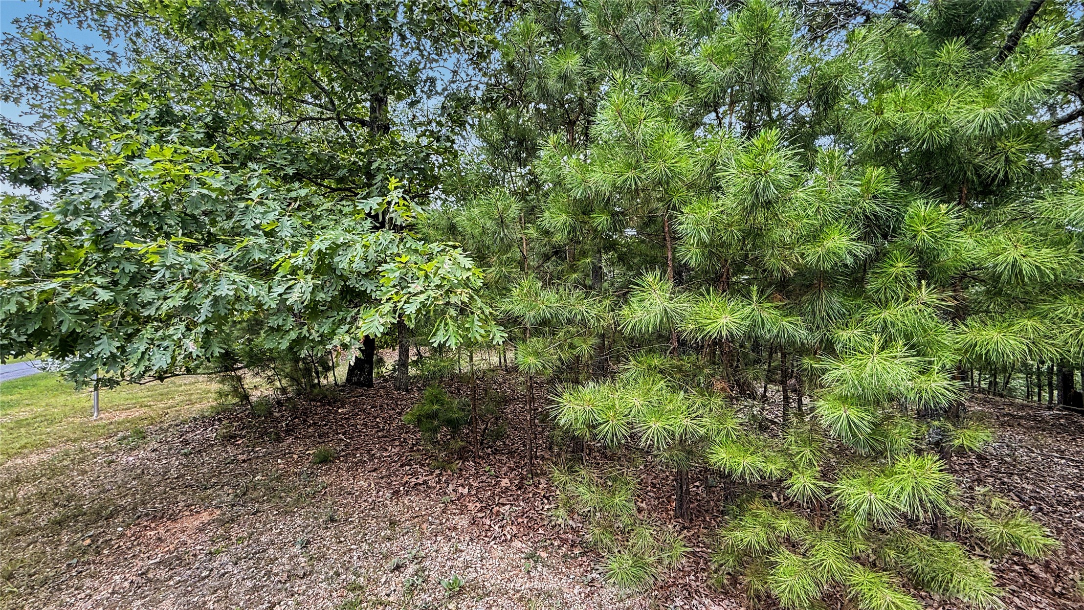 1595 Deer Lake Drive Kansas OK 74347