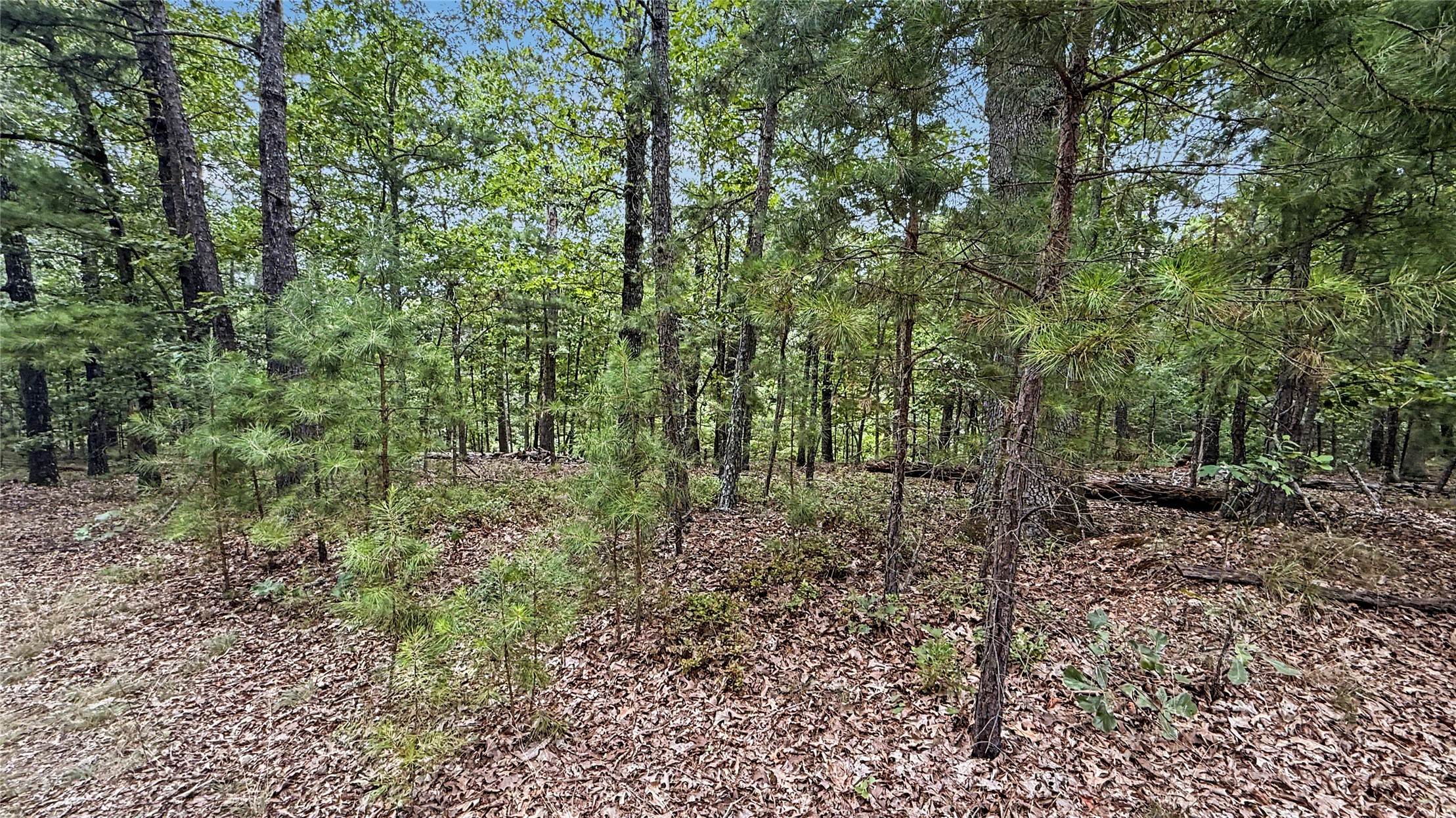 1595 Deer Lake Drive Kansas OK 74347