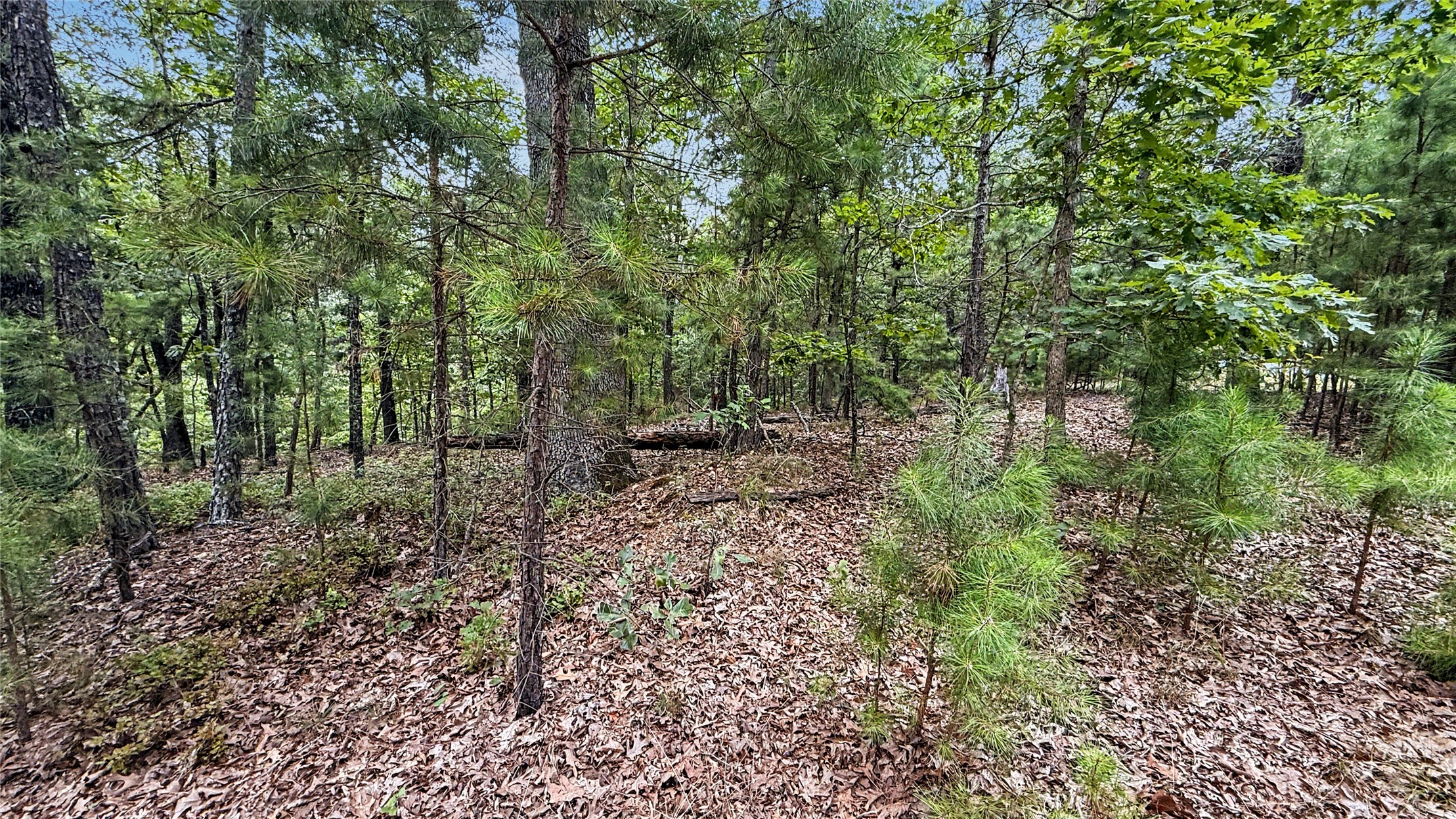 1595 Deer Lake Drive Kansas OK 74347