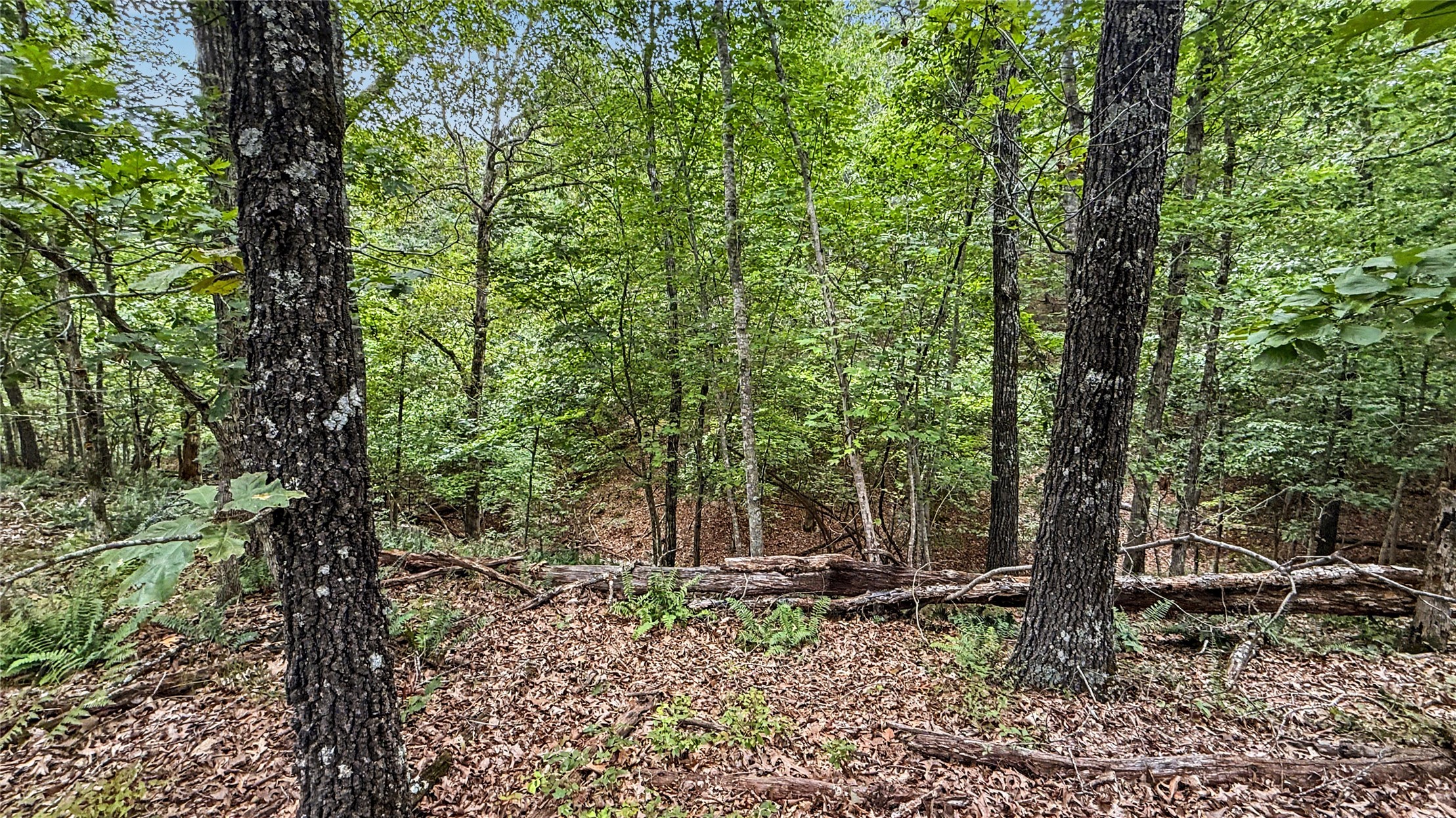 1595 Deer Lake Drive Kansas OK 74347