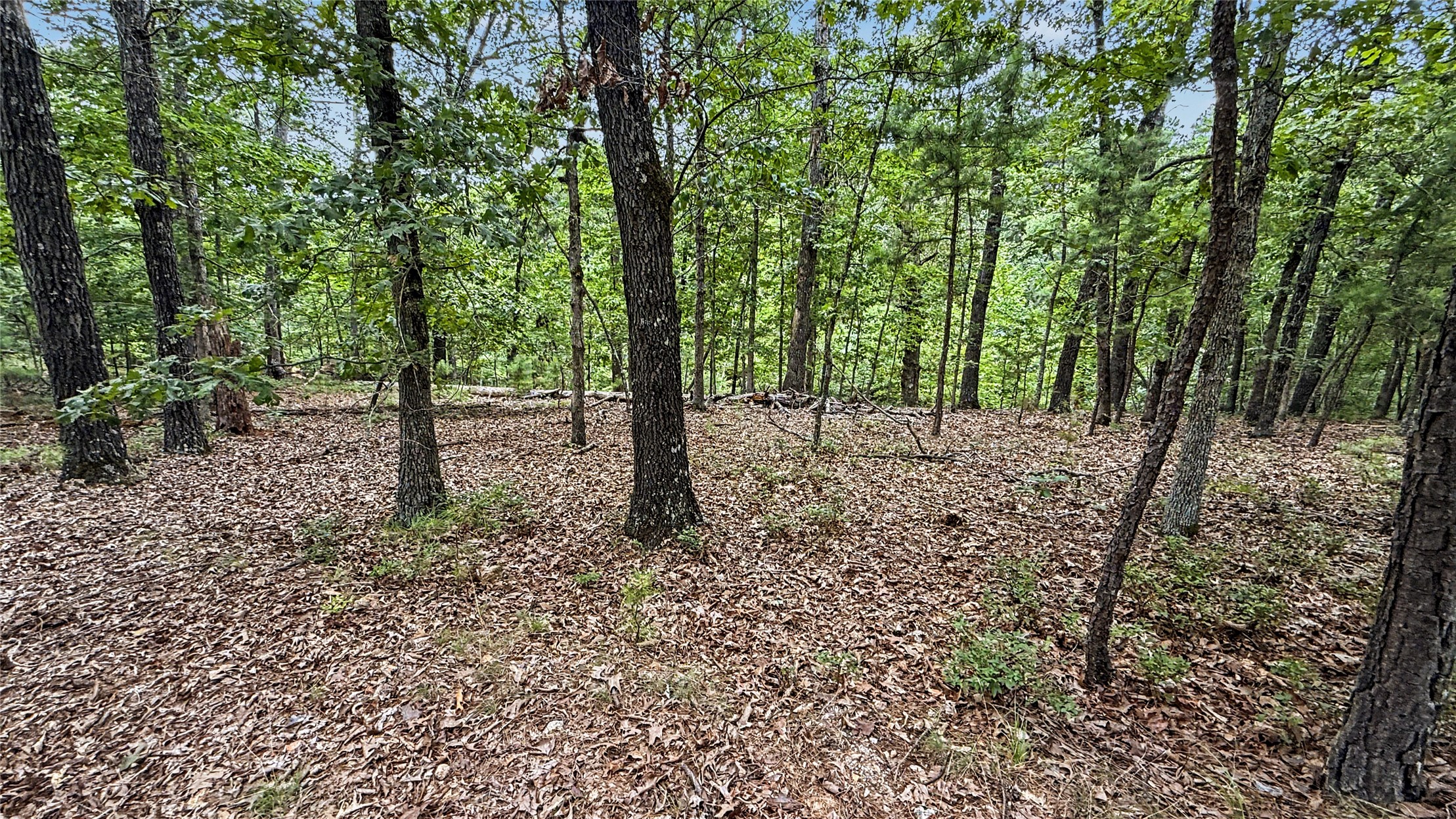 1595 Deer Lake Drive Kansas OK 74347