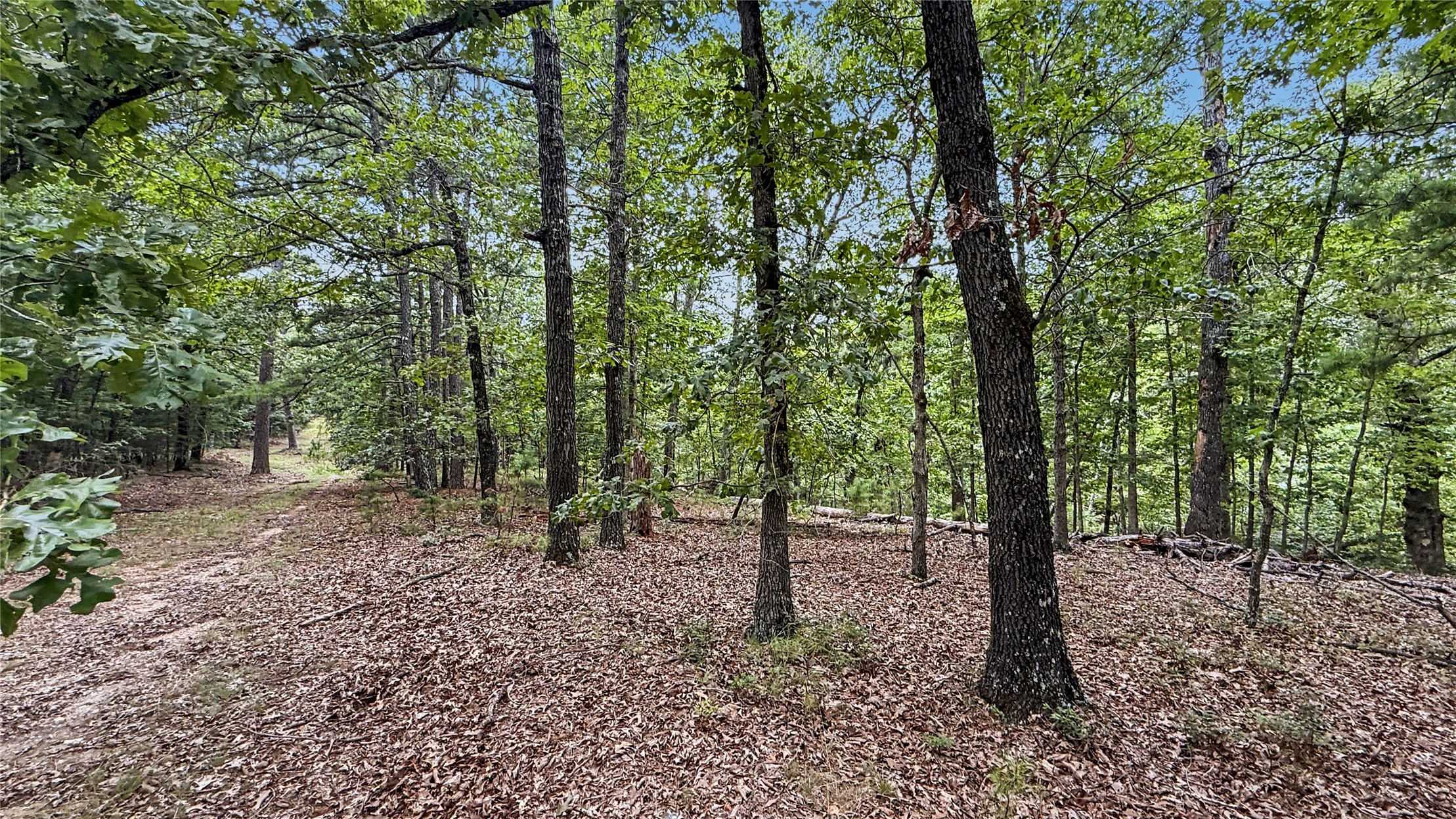 1595 Deer Lake Drive Kansas OK 74347